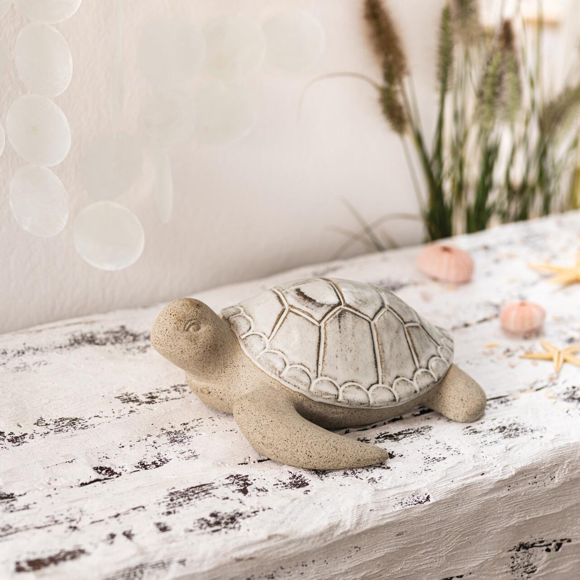 Dekofigur "Schildkröte"  im Frank Flechtwaren Online Shop kaufen