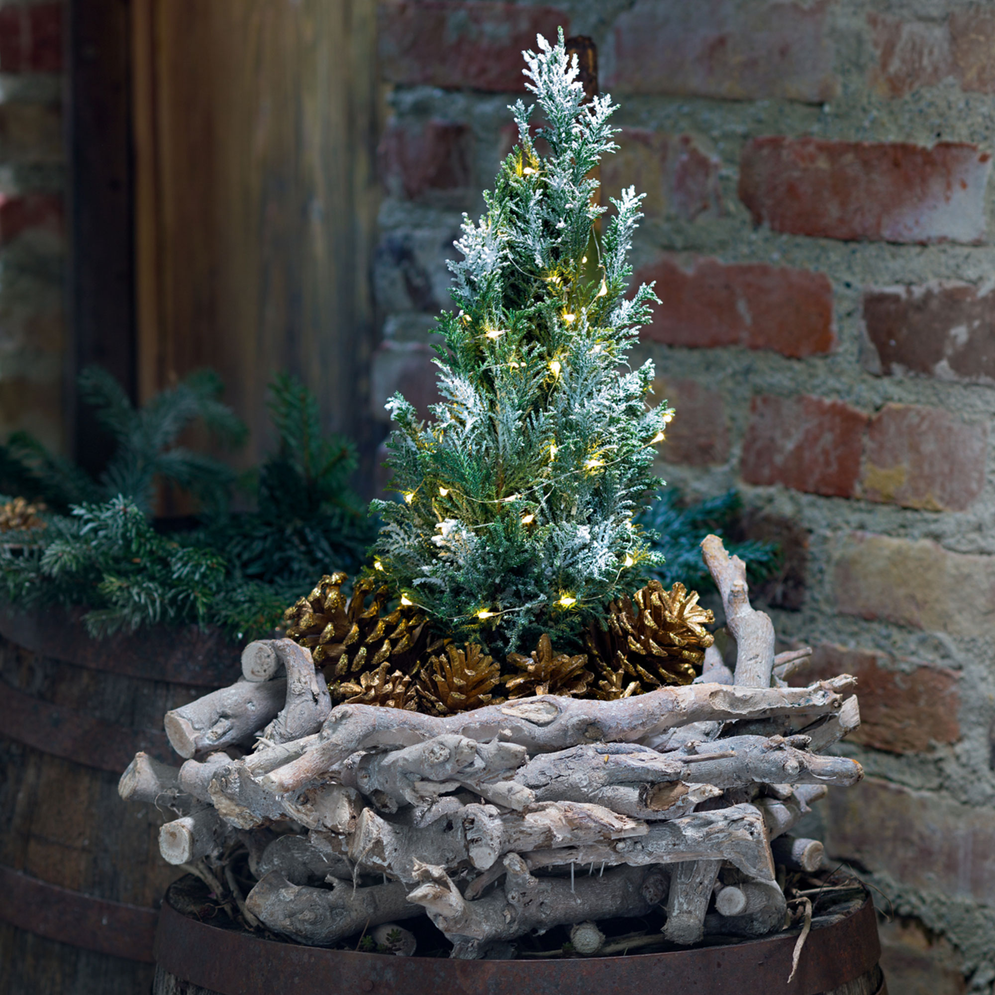 Pflanzer "Rustikal"  im Frank Flechtwaren Online Shop kaufen