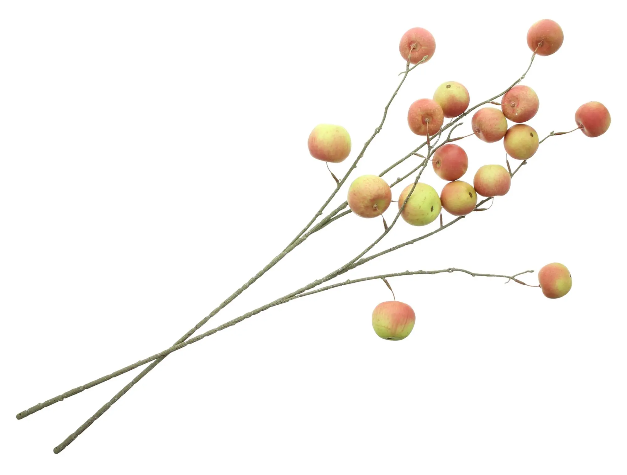 Kunstzweig "Apfel", 2er Set  im Frank Flechtwaren Online Shop für Waldspaziergang kaufen