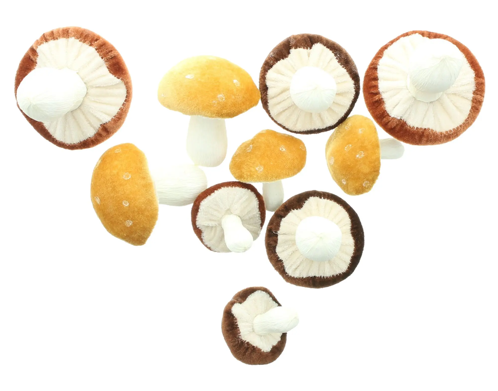 Pilz "Velvet", 10er Set  im Frank Flechtwaren Online Shop für Titelserie Herbst/Winter kaufen