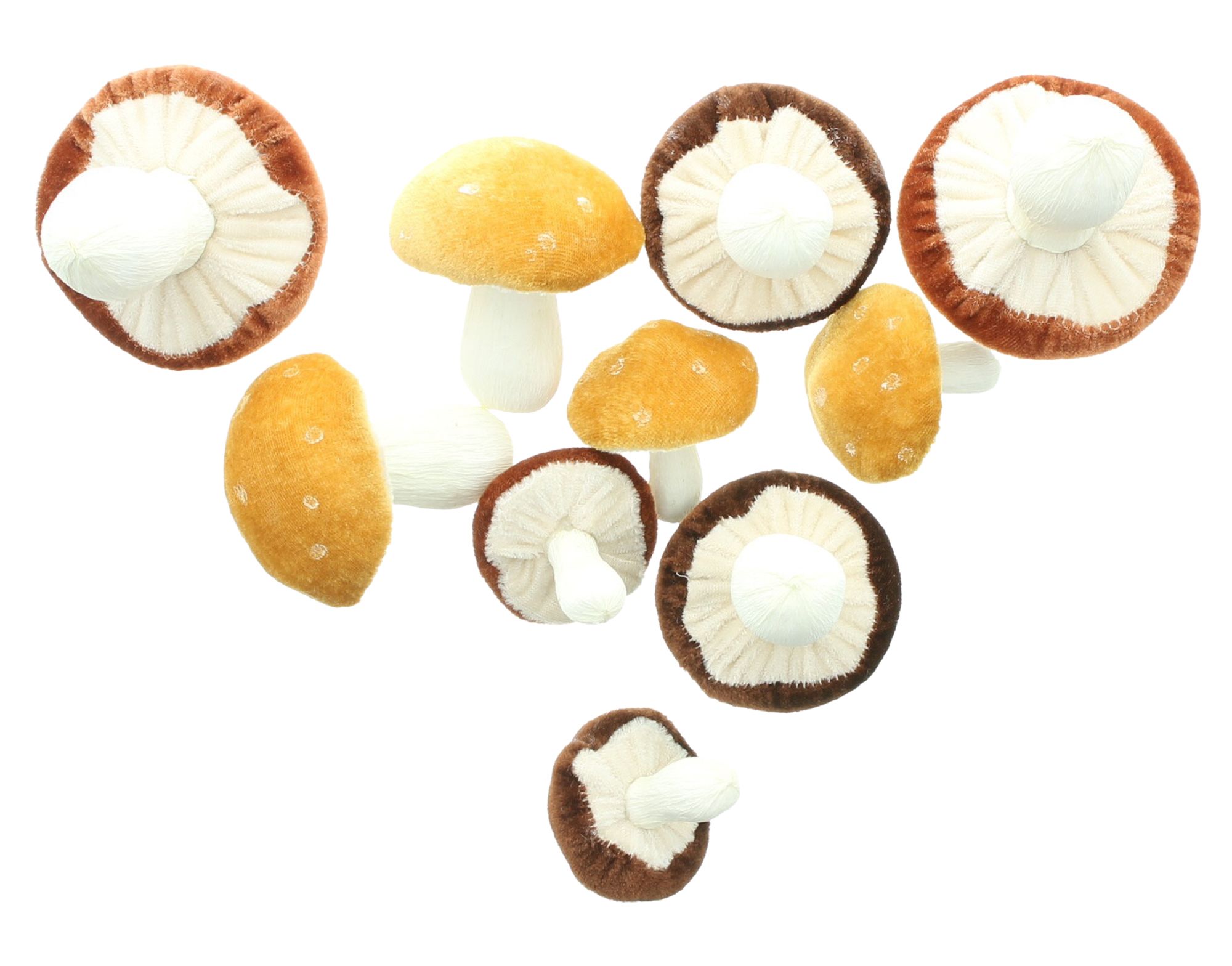 Pilz "Velvet", 10er Set  im Frank Flechtwaren Online Shop für Herbst kaufen