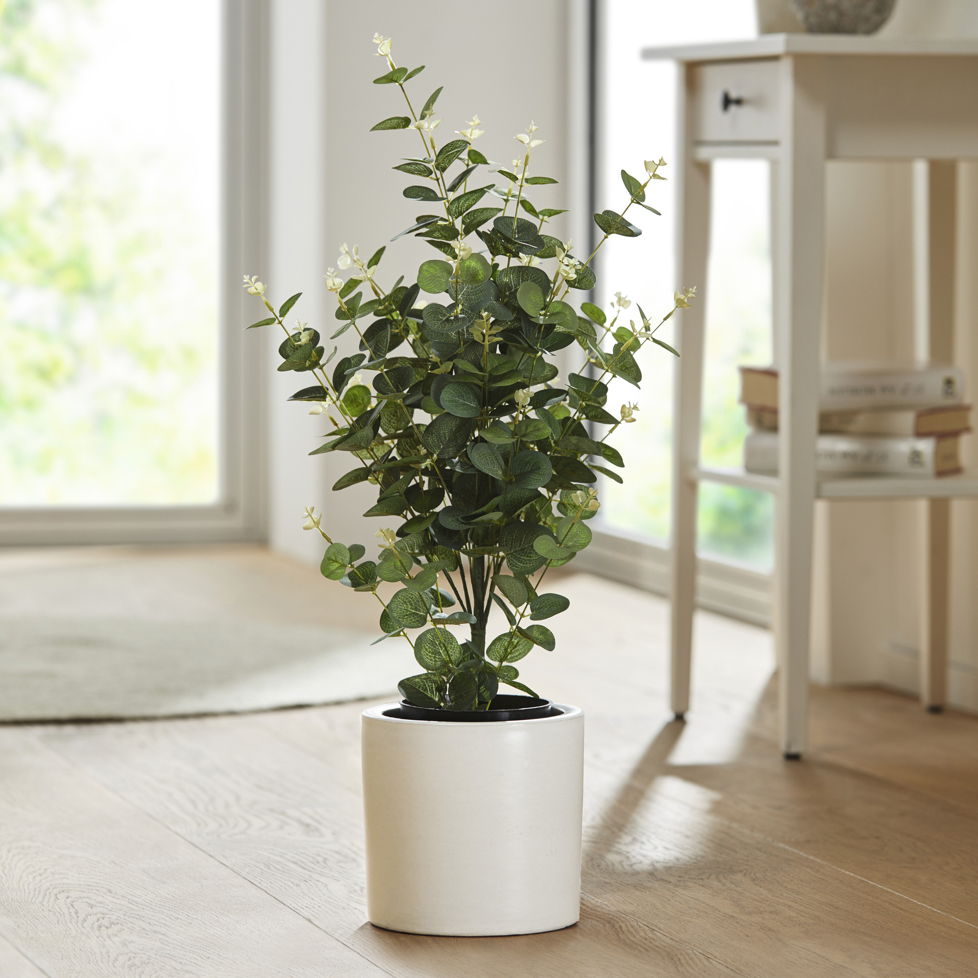 Topfpflanze "Eukalyptus" im Frank Flechtwaren Online Shop für Ostern kaufen Topfpflanze "Eukalyptus" im Frank Flechtwaren Online Shop für Ostern kaufen
