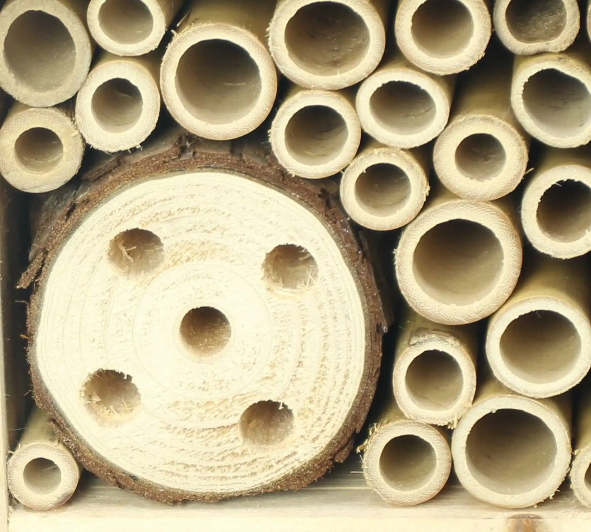 Insektenhotel "Bienenliebe"  im Frank Flechtwaren Online Shop für Ostern kaufen