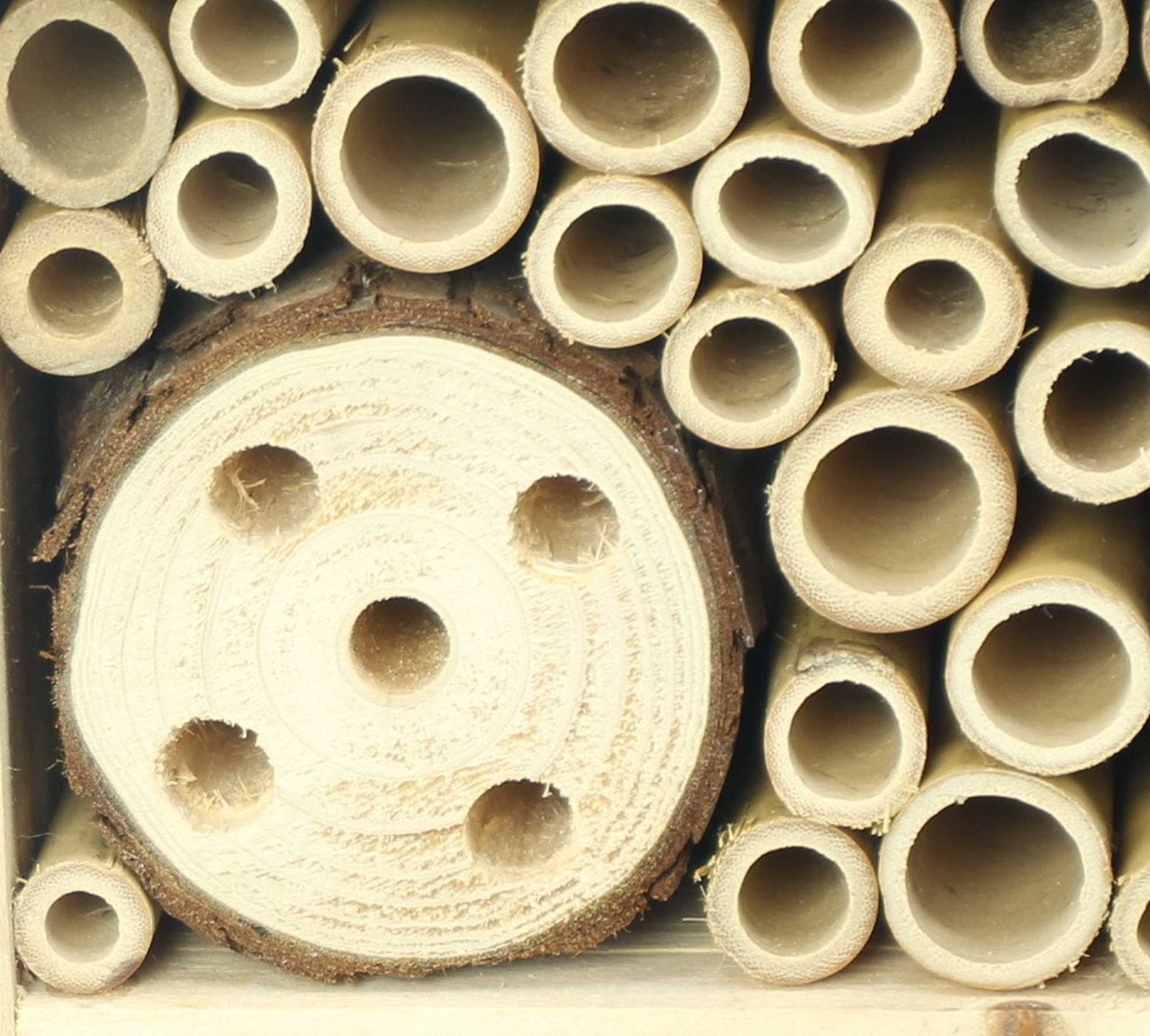 Insektenhotel "Bienenliebe" im Frank Flechtwaren Online Shop für Ostern kaufen Insektenhotel "Bienenliebe" im Frank Flechtwaren Online Shop für Ostern kaufen