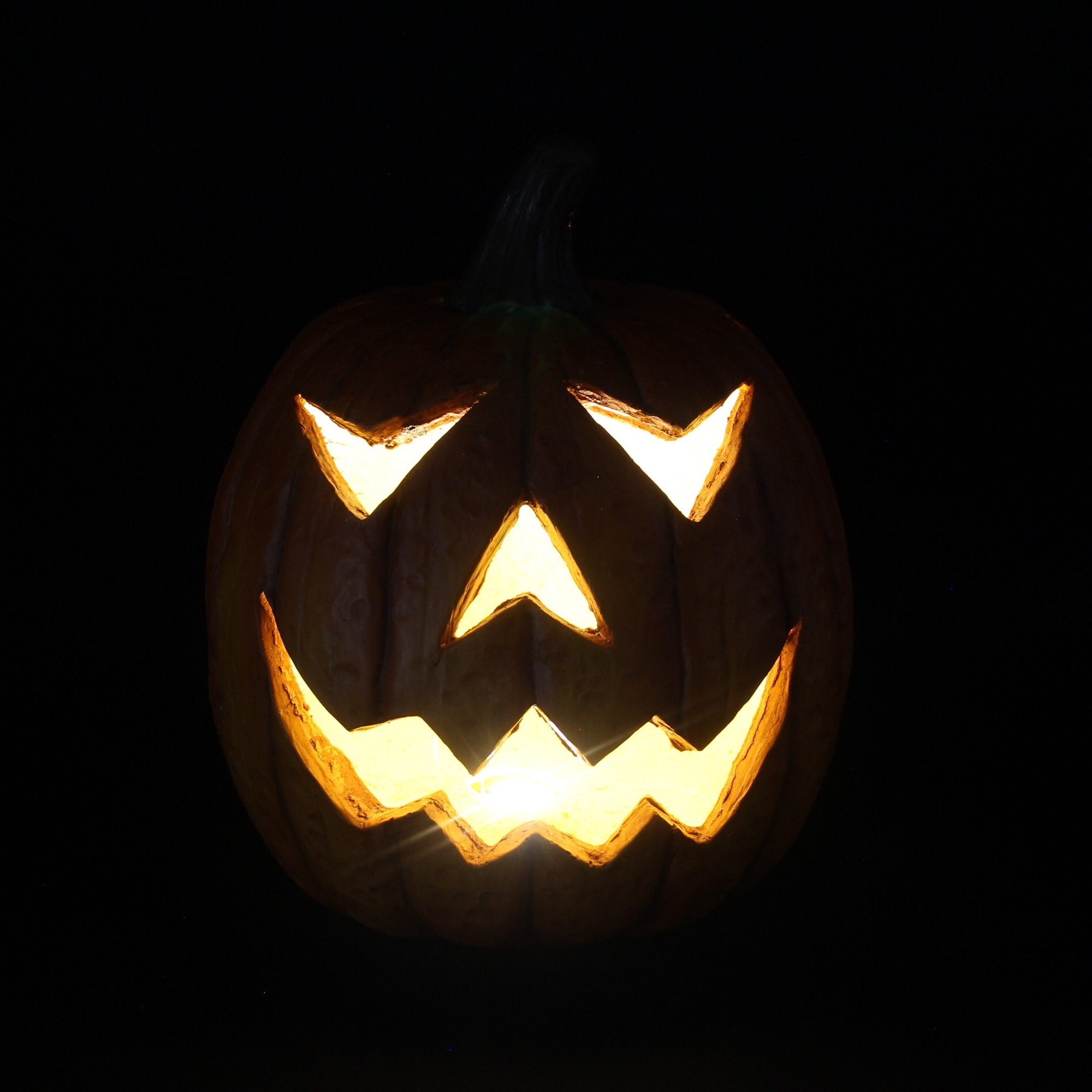 LED-Kürbis "Spooky" im Frank Flechtwaren Online Shop für Herbst kaufen LED-Kürbis "Spooky" im Frank Flechtwaren Online Shop für Herbst kaufen