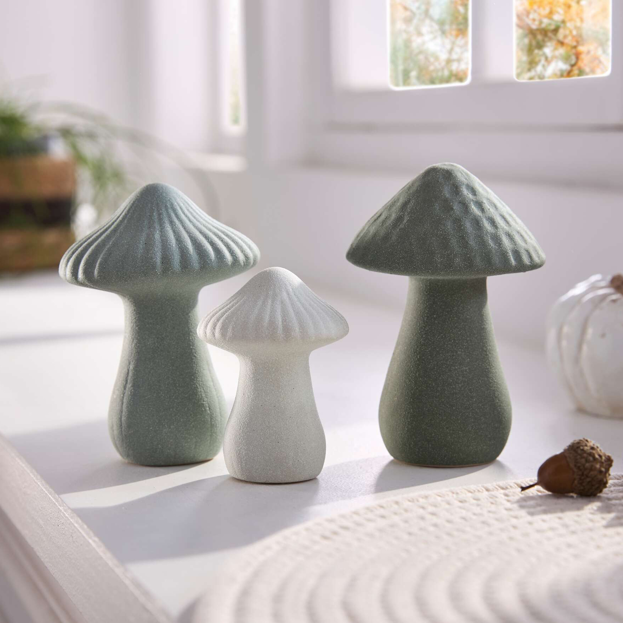 Pilz "Grün", 3er Set  im Frank Flechtwaren Online Shop kaufen