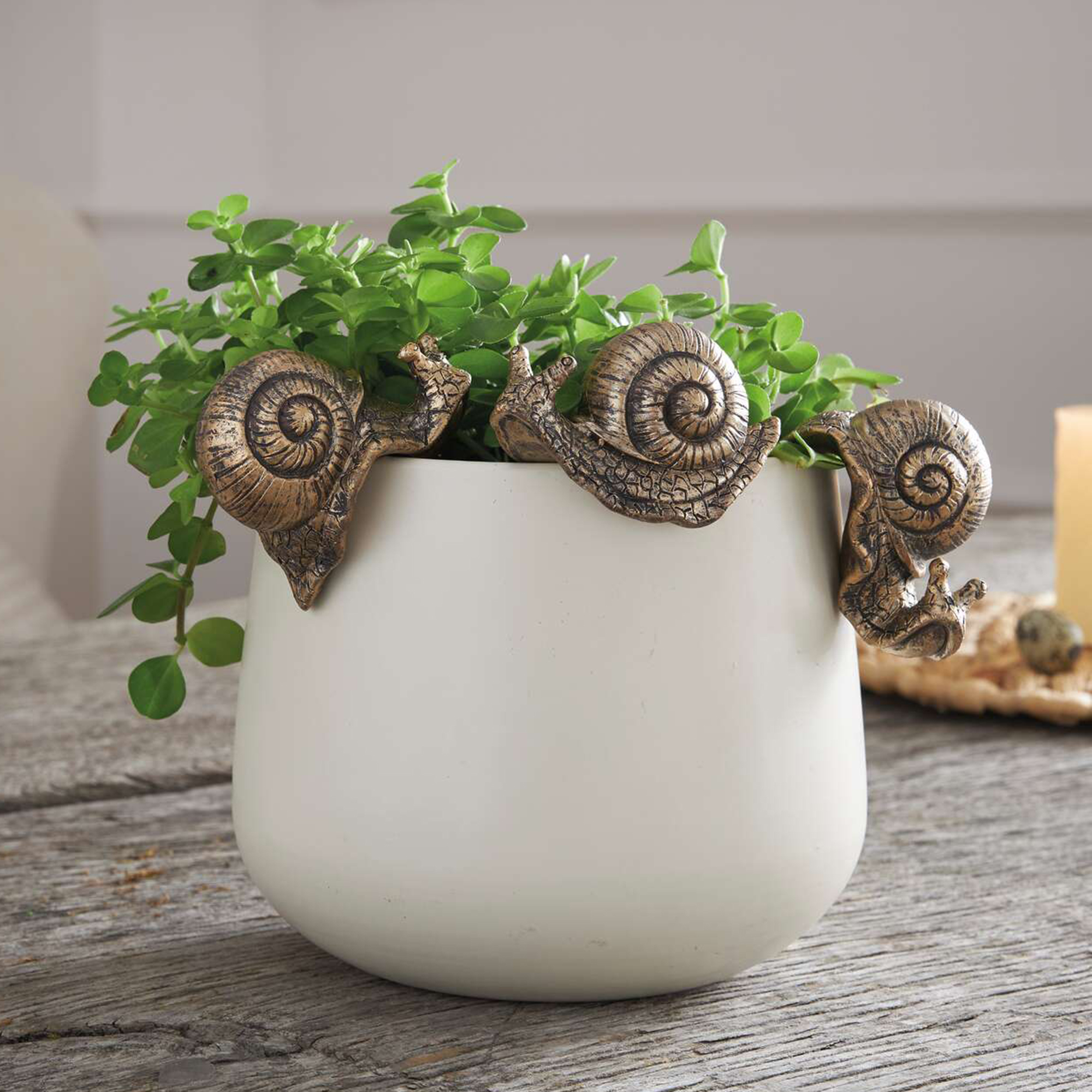 Acheter Lot de 3 figurines "escargot"  dans la boutique en ligne de Frank Flechtwaren