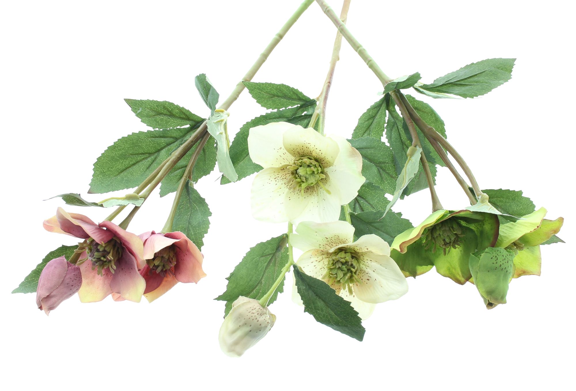 Kunstblume "Christrose", 3er Set im Frank Flechtwaren Online Shop für Weihnachten kaufen Kunstblume "Christrose", 3er Set im Frank Flechtwaren Online Shop für Weihnachten kaufen