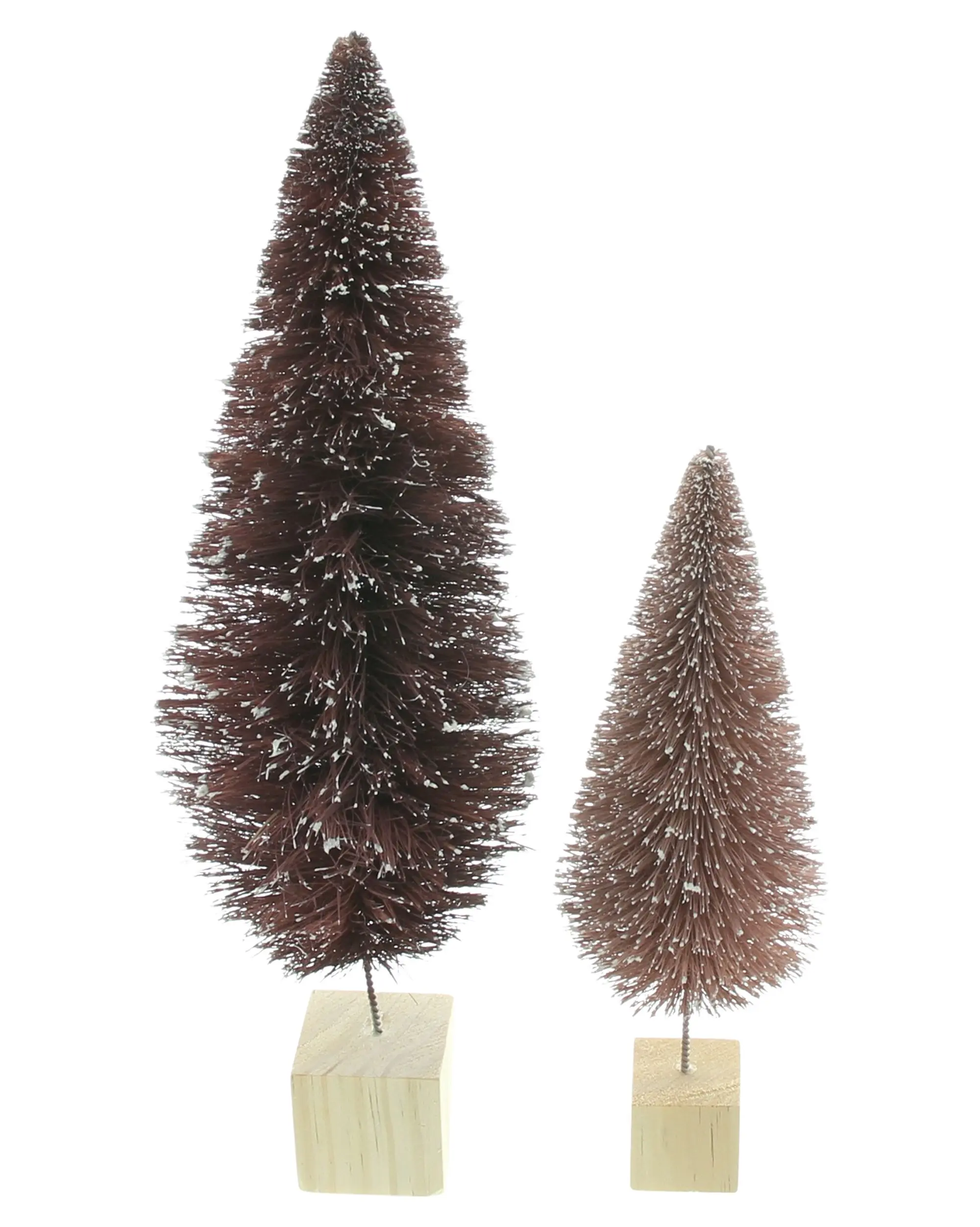 Tanne "Wintertraum", 2er Set im Frank Flechtwaren Online Shop für kaufen Tanne "Wintertraum", 2er Set im Frank Flechtwaren Online Shop für kaufen
