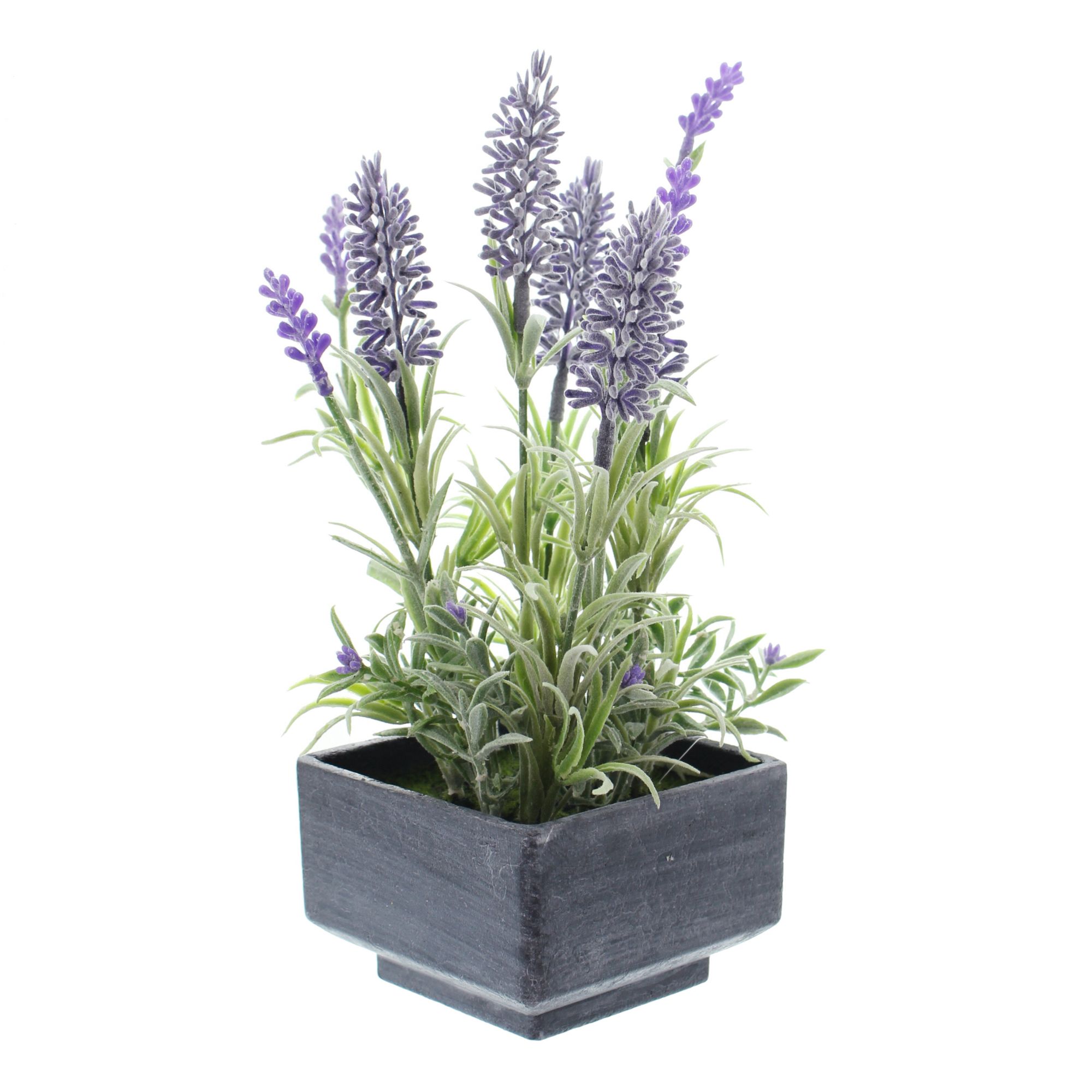 Lavendel im Topf im Frank Flechtwaren Online Shop für Kunstpflanzen kaufen Lavendel im Topf im Frank Flechtwaren Online Shop für Kunstpflanzen kaufen