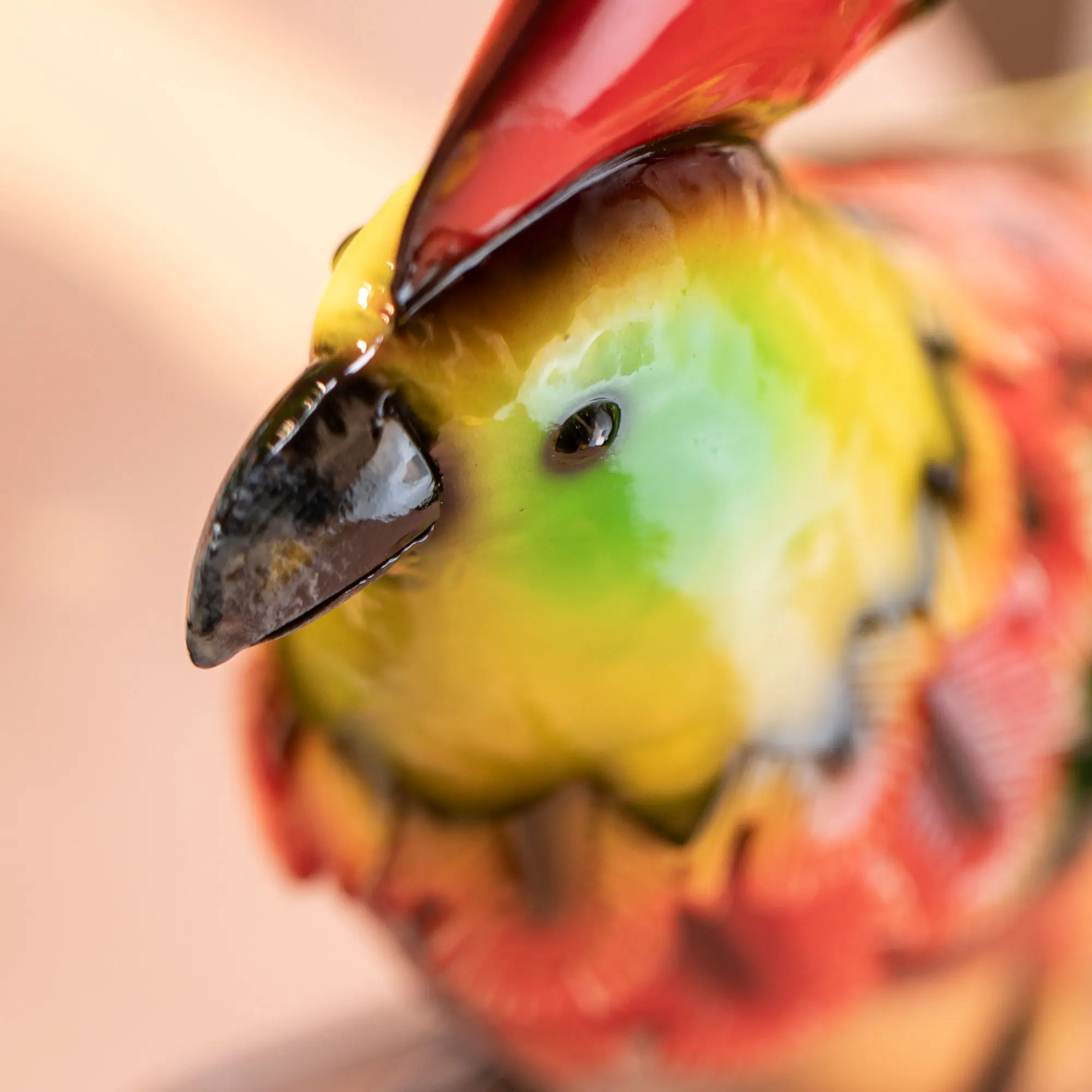 Dekovogel "Kakadu"  im Frank Flechtwaren Online Shop für Strandbar-Feeling kaufen
