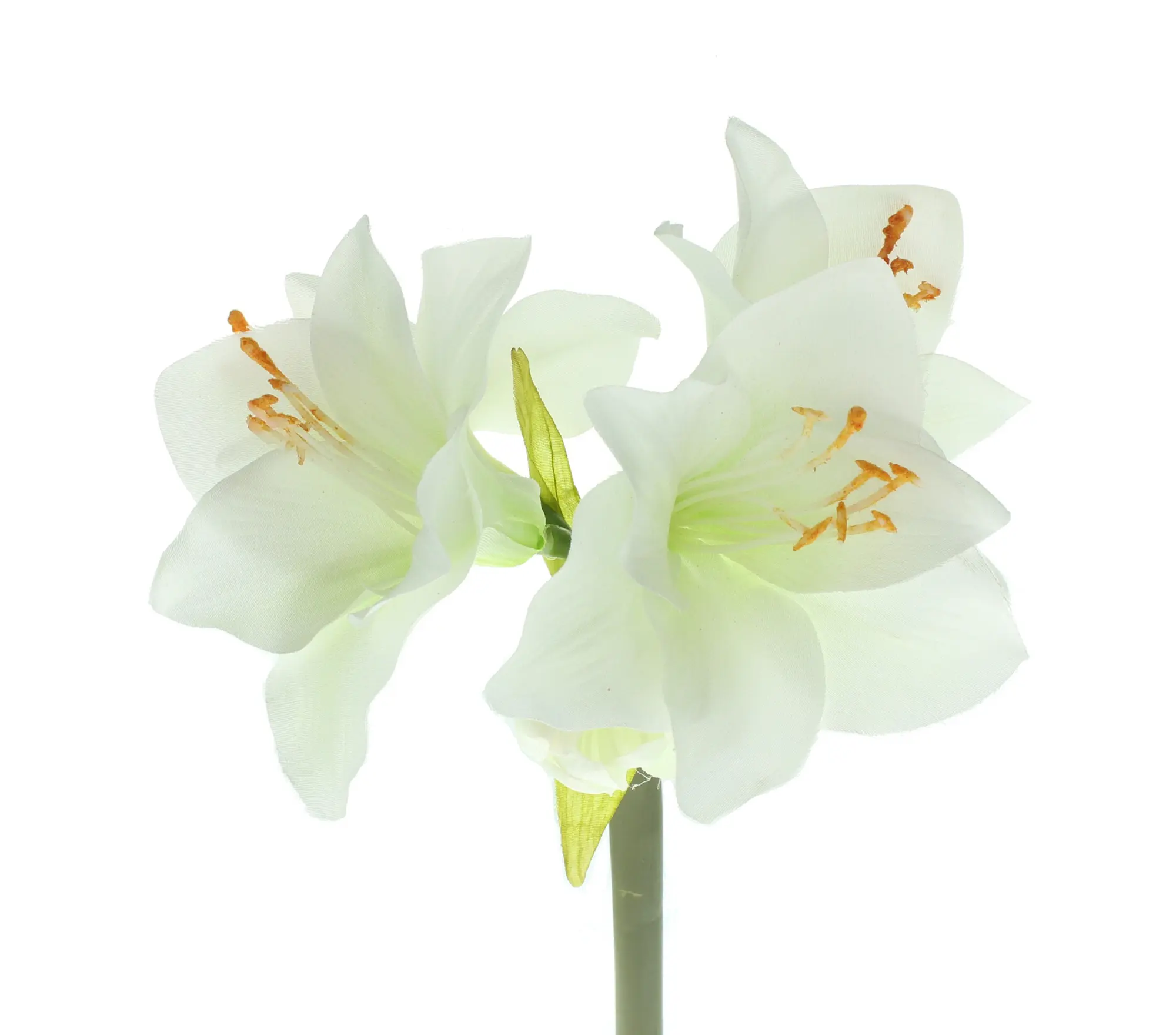 Kunstblume "Amaryllis", creme im Frank Flechtwaren Online Shop für Kunstpflanzen kaufen Kunstblume "Amaryllis", creme im Frank Flechtwaren Online Shop für Kunstpflanzen kaufen