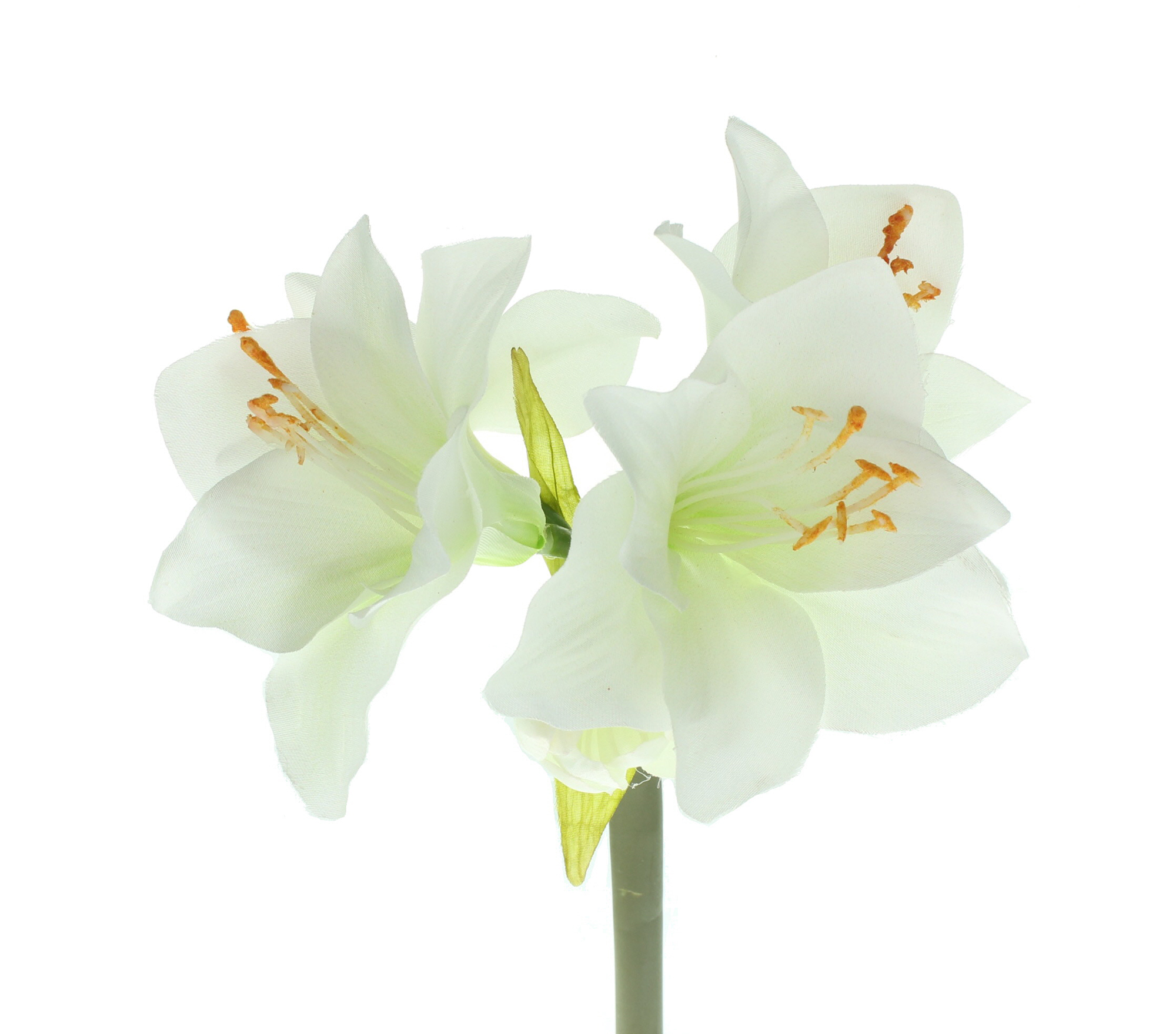 Kunstblume "Amaryllis", creme  im Frank Flechtwaren Online Shop für Kunstpflanzen kaufen