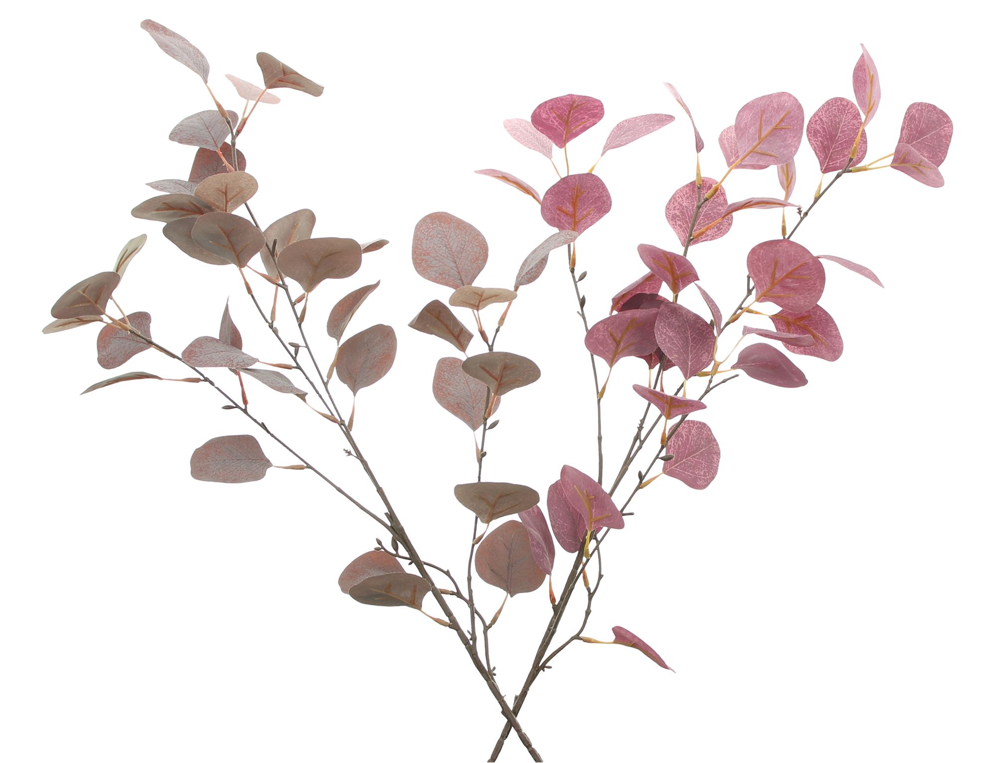 Eukalyptuszweig "Mauve", 2er Set im Frank Flechtwaren Online Shop für Herbst kaufen Eukalyptuszweig "Mauve", 2er Set im Frank Flechtwaren Online Shop für Herbst kaufen