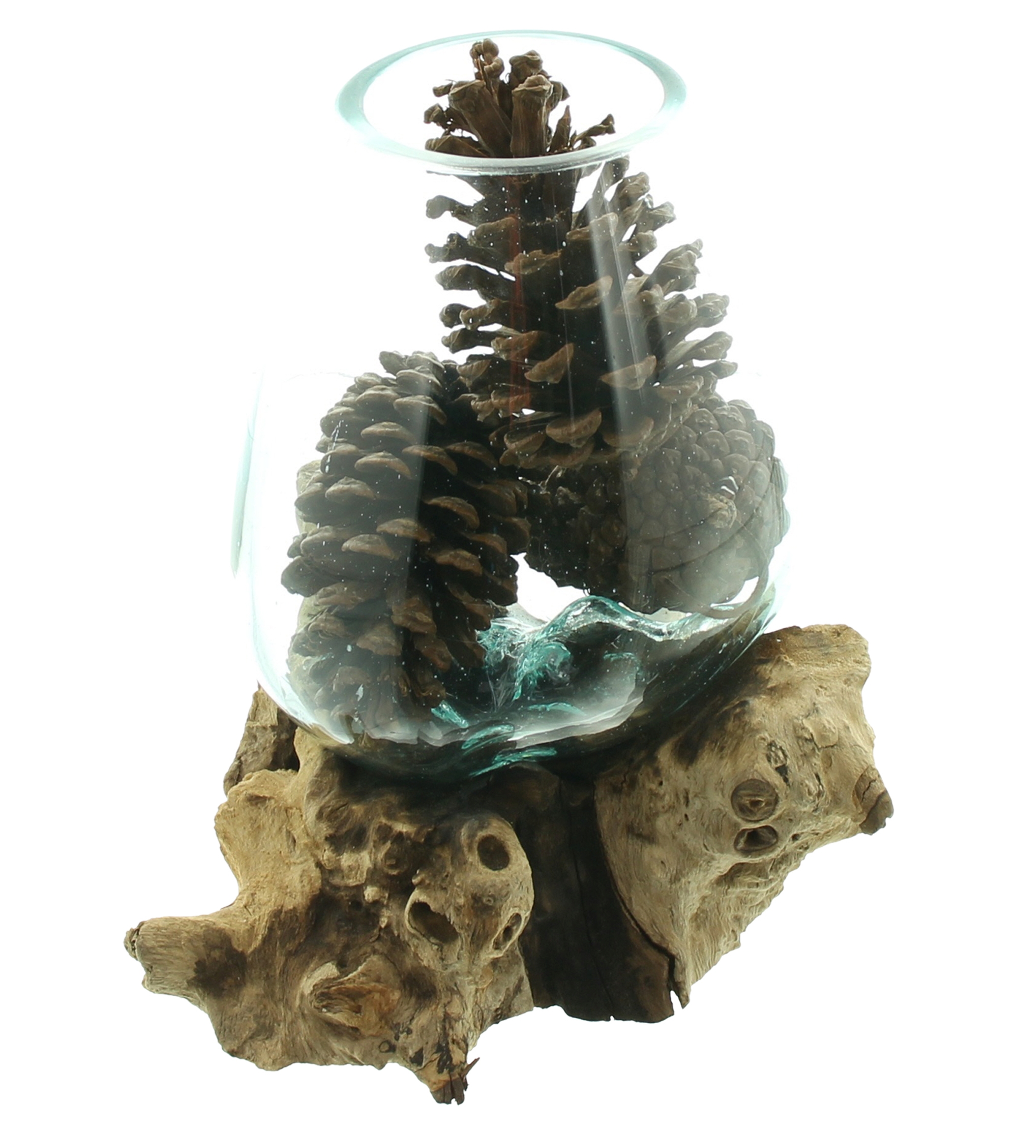 Wurzelholzvase "Aqua" im Frank Flechtwaren Online Shop für Dekovasen kaufen Wurzelholzvase "Aqua" im Frank Flechtwaren Online Shop für Dekovasen kaufen