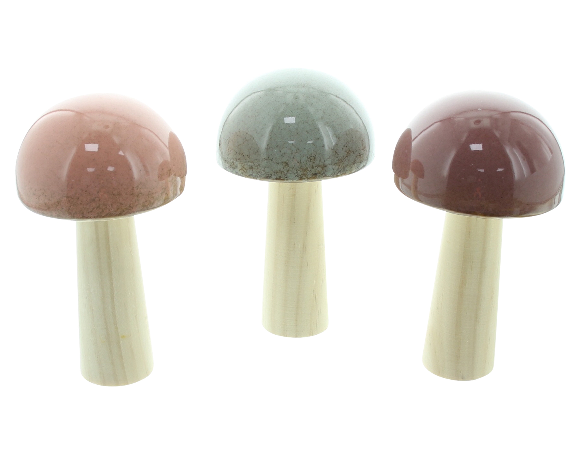Pilz "Glossy", 3er Set  im Frank Flechtwaren Online Shop kaufen