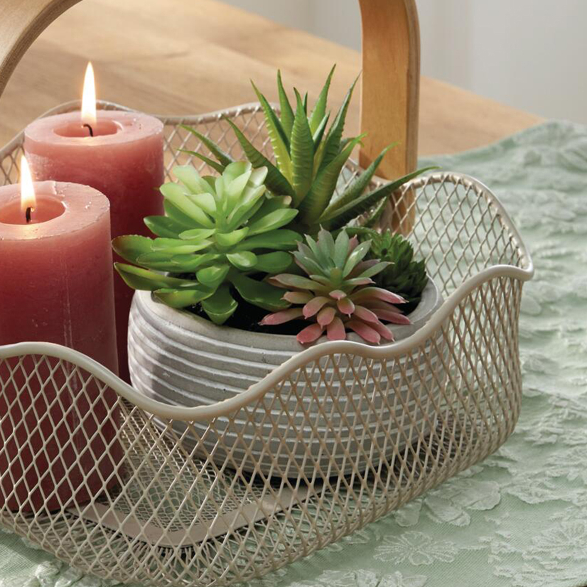 Kunstpflanze "Sukkulenten im Topf"  im Frank Flechtwaren Online Shop kaufen