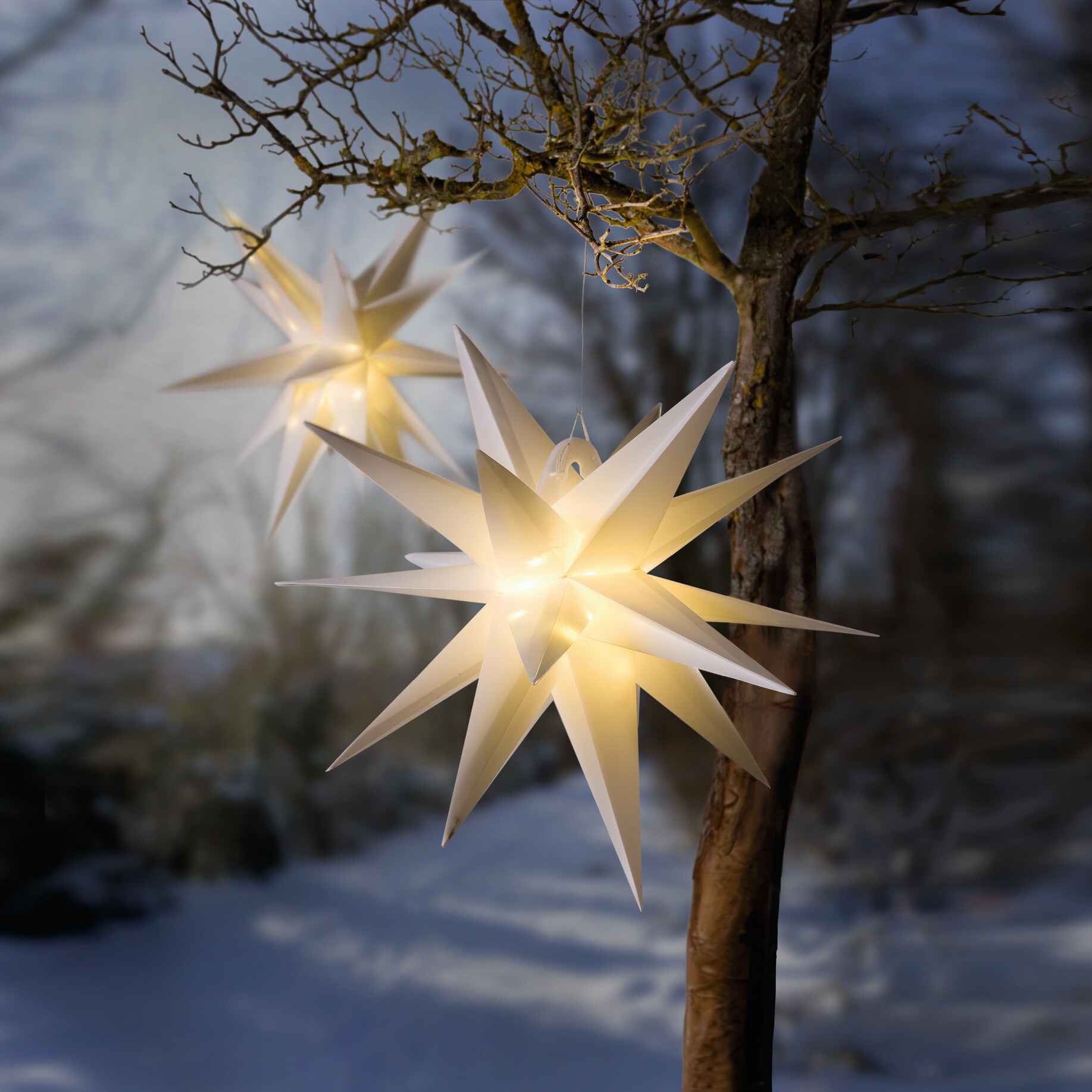 Hänger "Winterstern"  im Frank Flechtwaren Online Shop für Weihnachten kaufen