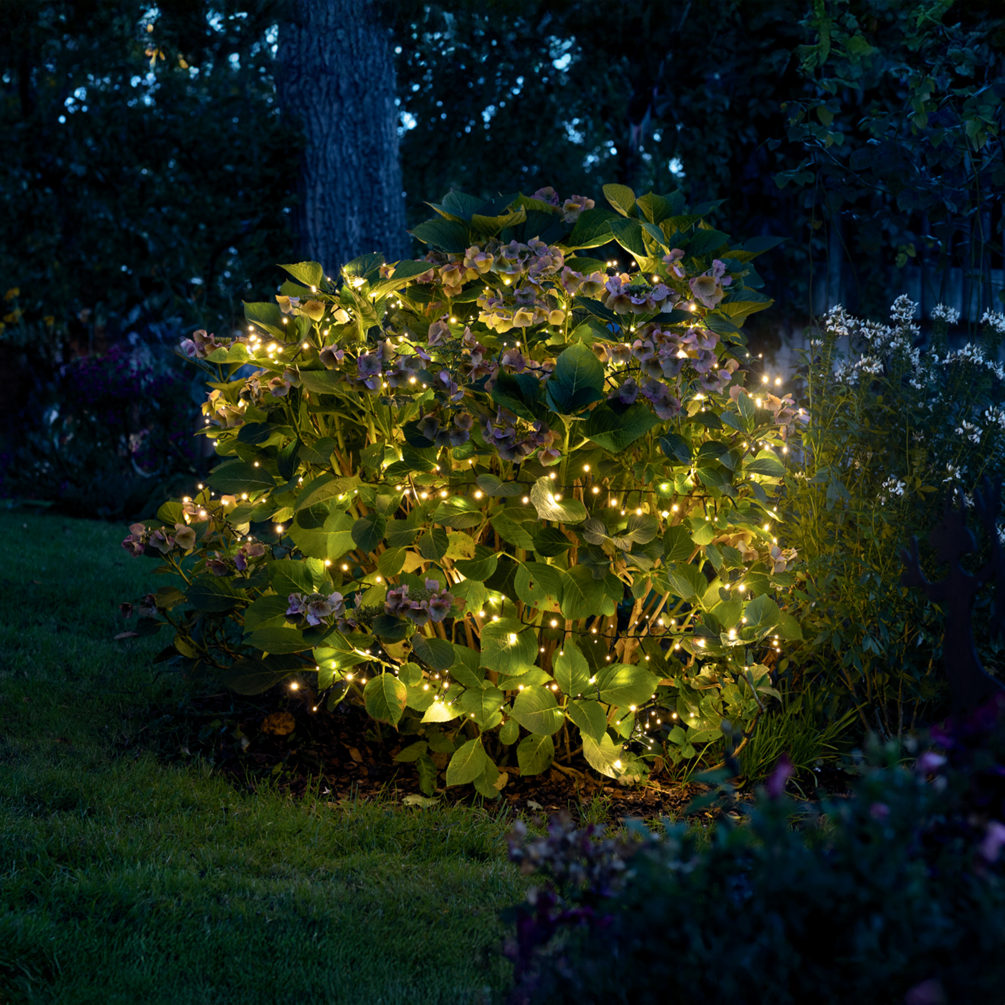 LED-Lichterkette "3D"  im Frank Flechtwaren Online Shop kaufen