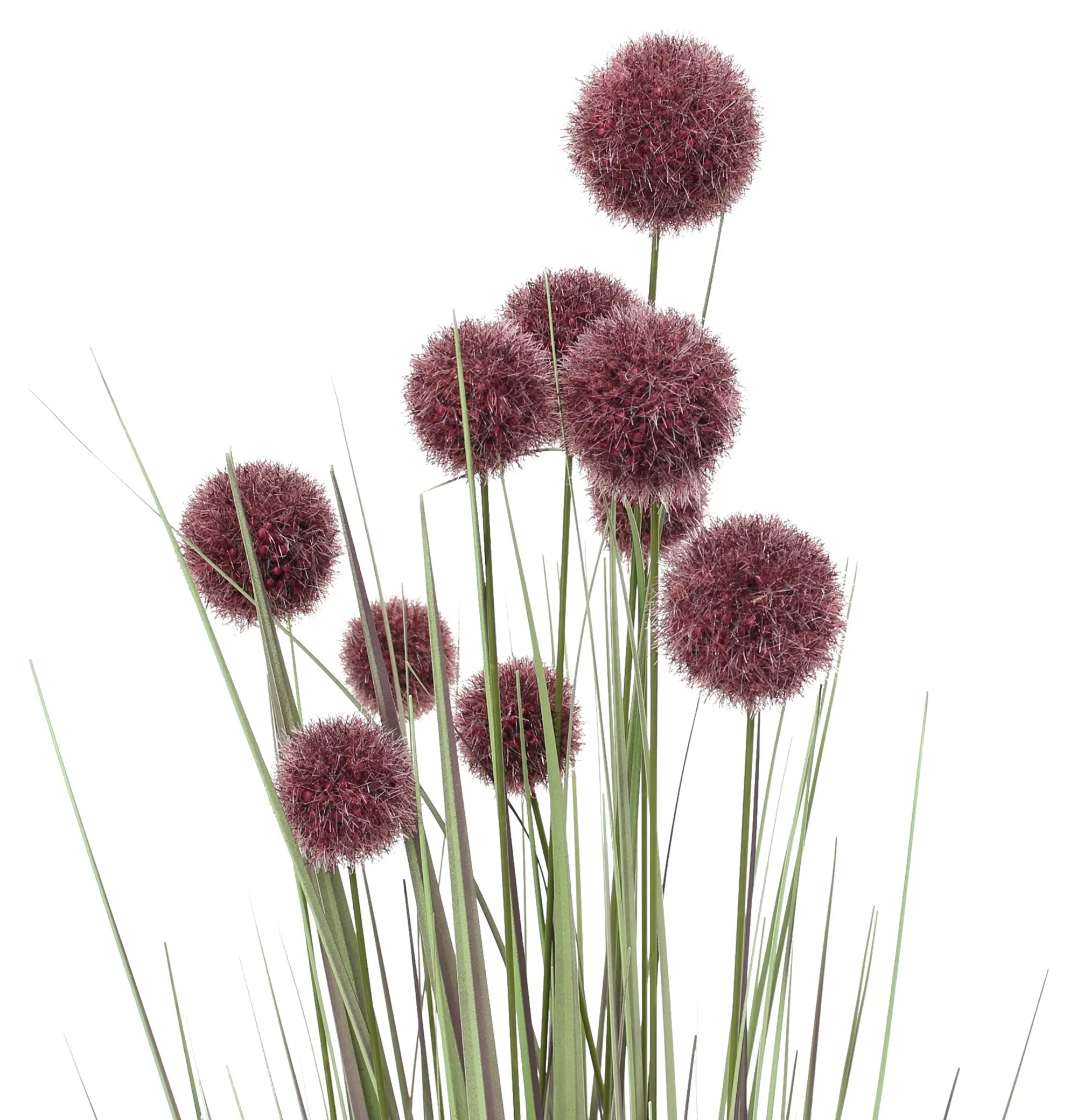 Topfpflanze "Allium"  im Frank Flechtwaren Online Shop für Kunstpflanzen kaufen