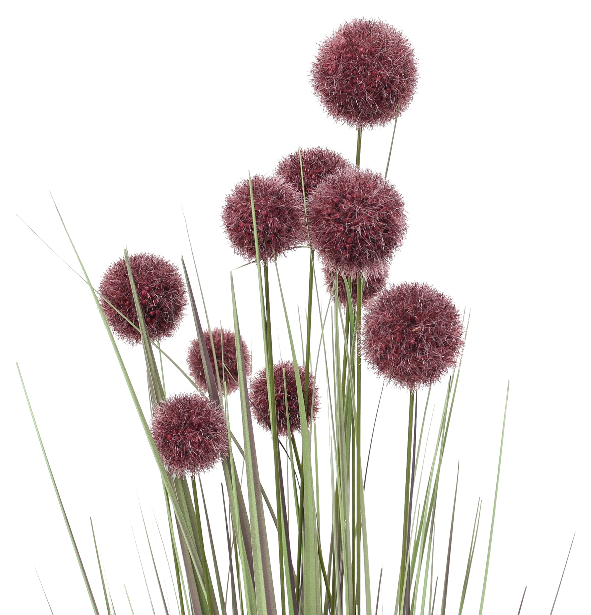 Topfpflanze "Allium"  im Frank Flechtwaren Online Shop für Kunstpflanzen kaufen