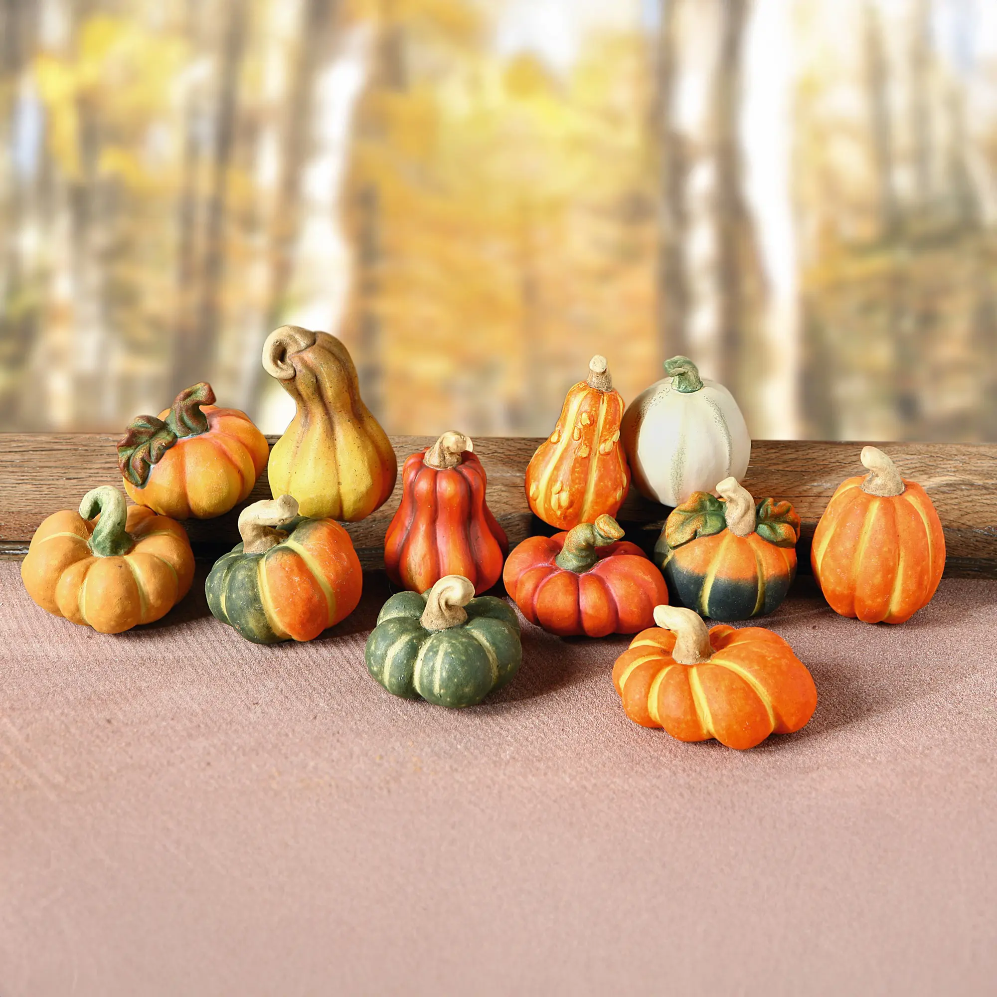 Terracotta-Kürbis, 12er Set  im Frank Flechtwaren Online Shop kaufen