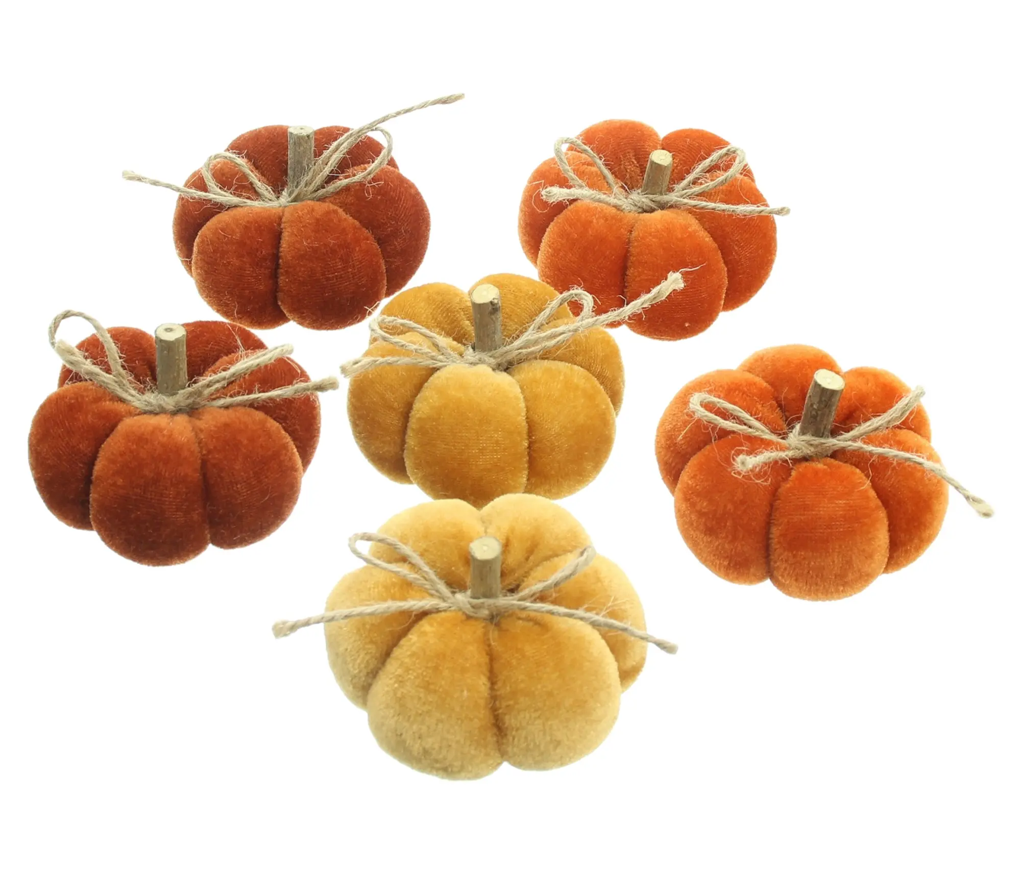Kürbis "Herbstfarben", 6er Set  im Frank Flechtwaren Online Shop kaufen