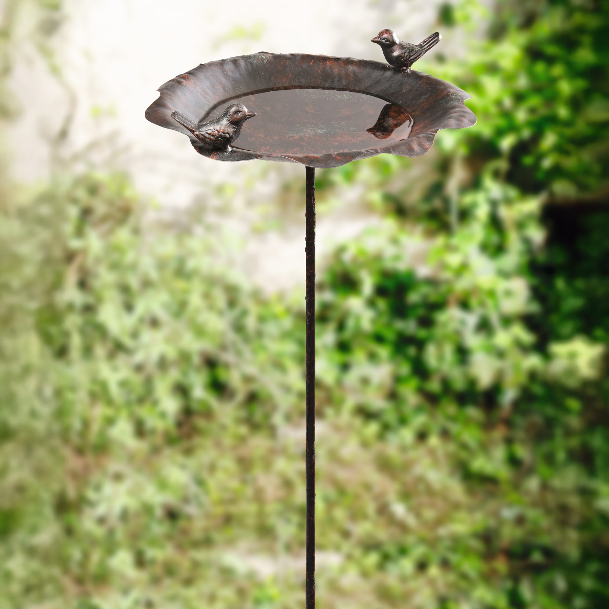 Vogeltränke "Rostoptik"  im Frank Flechtwaren Online Shop kaufen