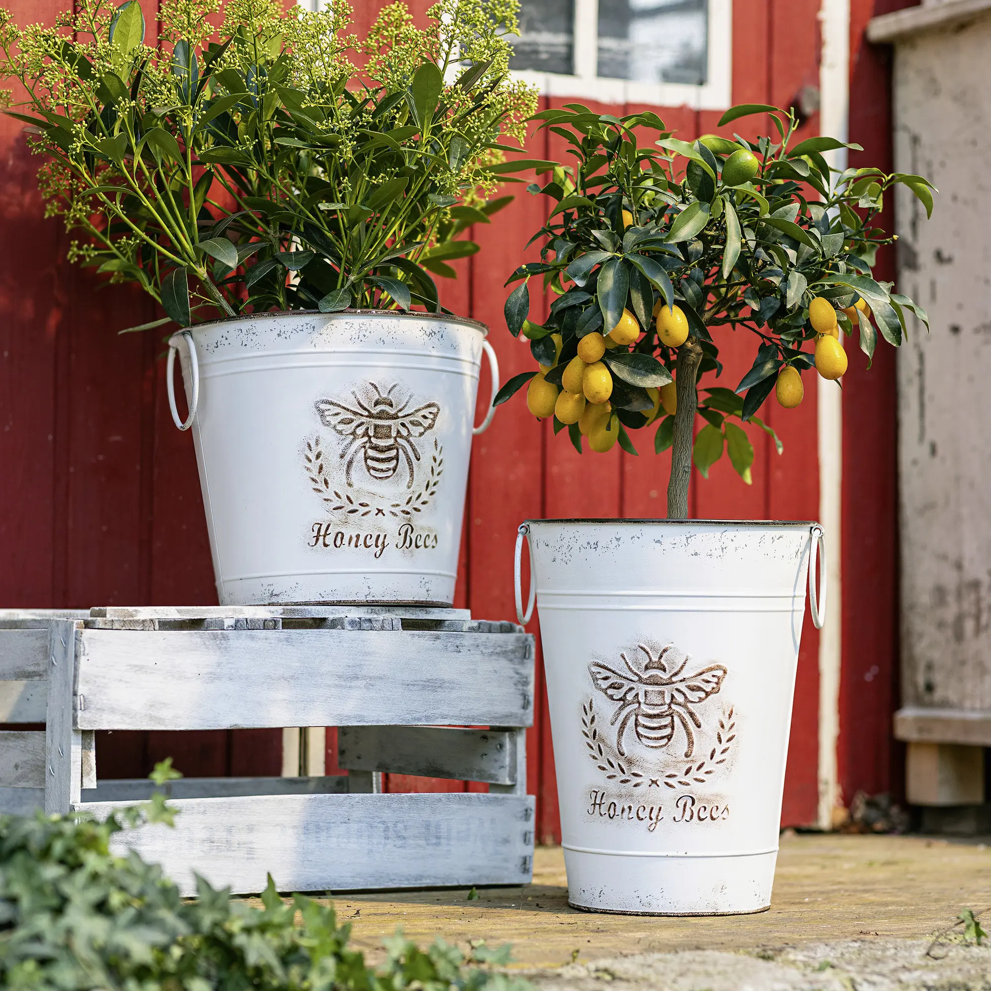 Deko-Eimer "Biene"  im Frank Flechtwaren Online Shop für Übertöpfe kaufen