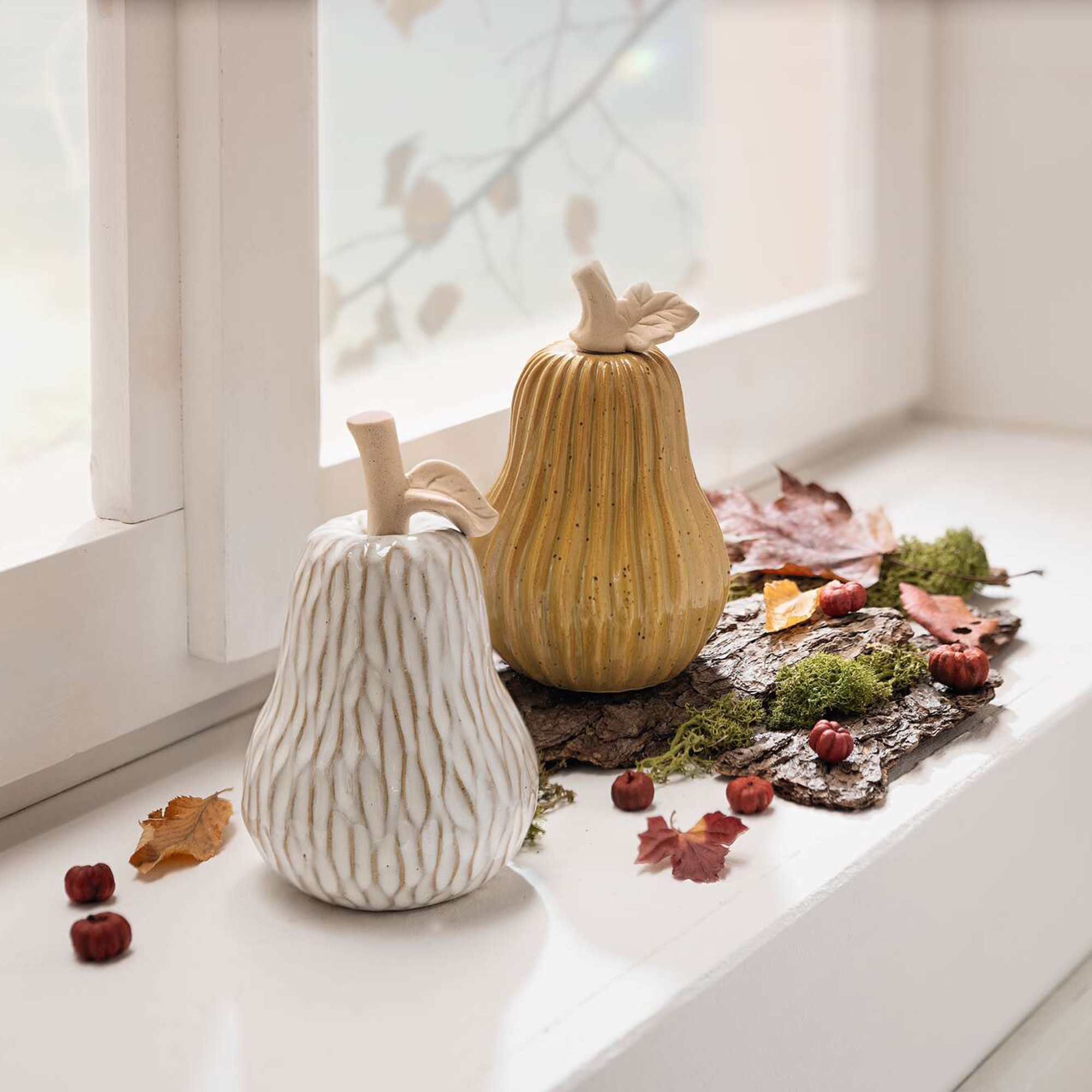 Dekokürbis "Struktur", 2er Set  im Frank Flechtwaren Online Shop kaufen
