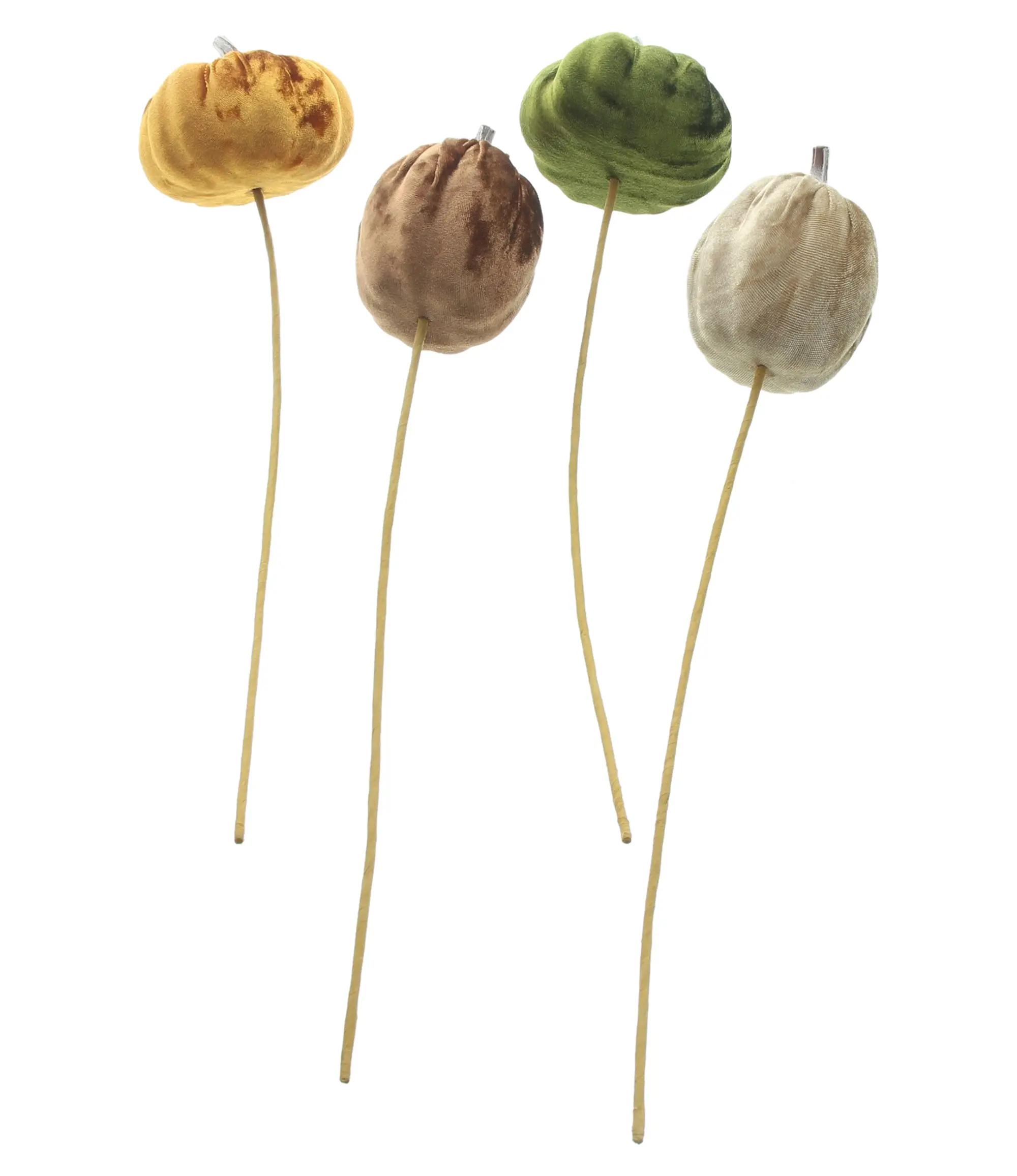 Stecker "Samtkürbis", 4er Set  im Frank Flechtwaren Online Shop kaufen