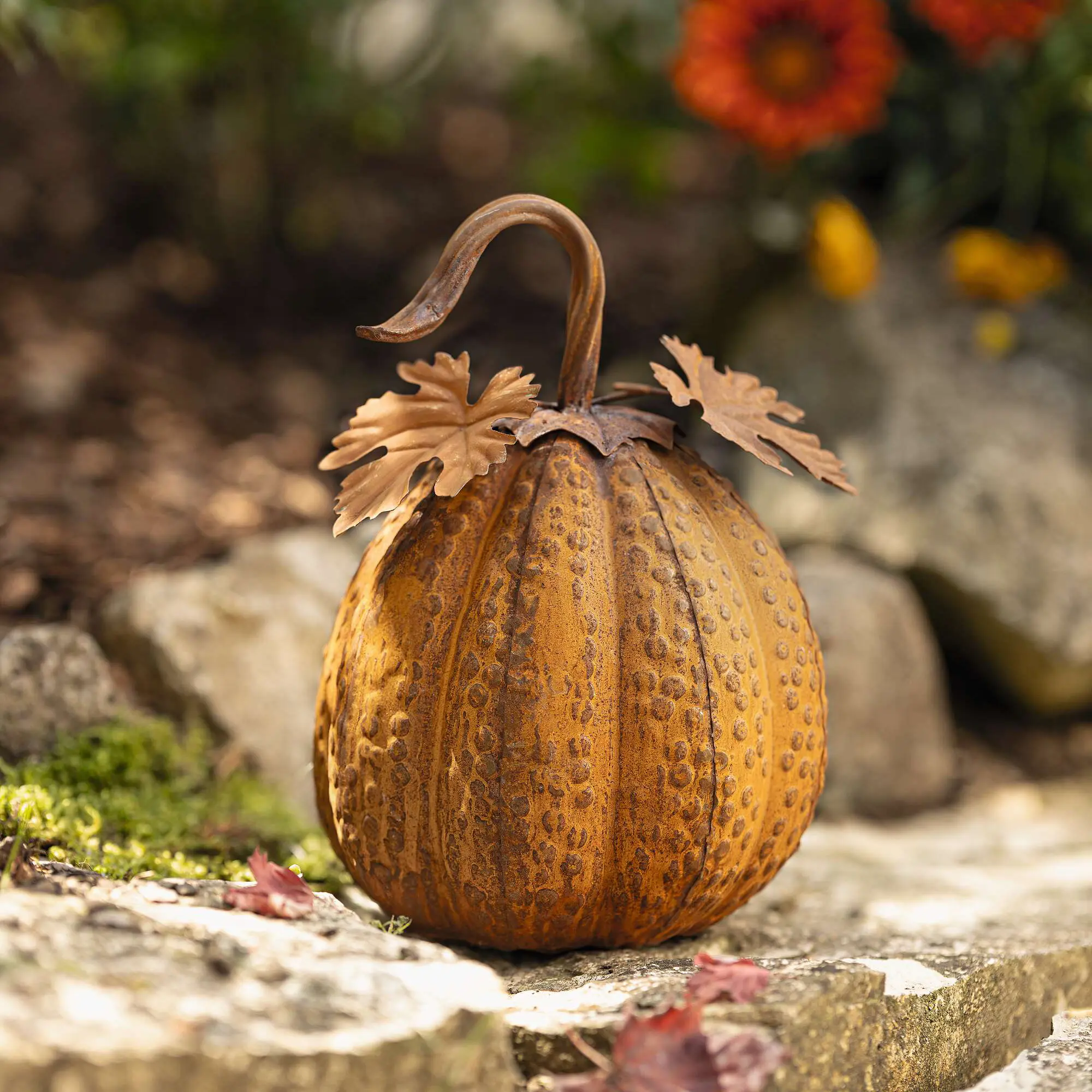 Herbstdeko "Kürbis"  im Frank Flechtwaren Online Shop kaufen