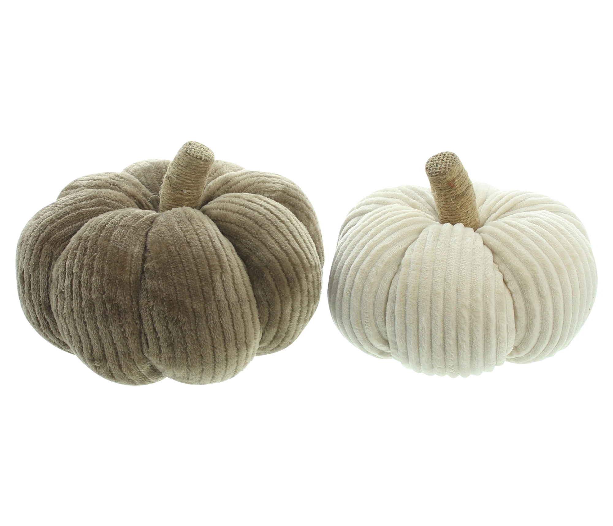 Kürbis "Cordsamt", 2er Set  im Frank Flechtwaren Online Shop kaufen