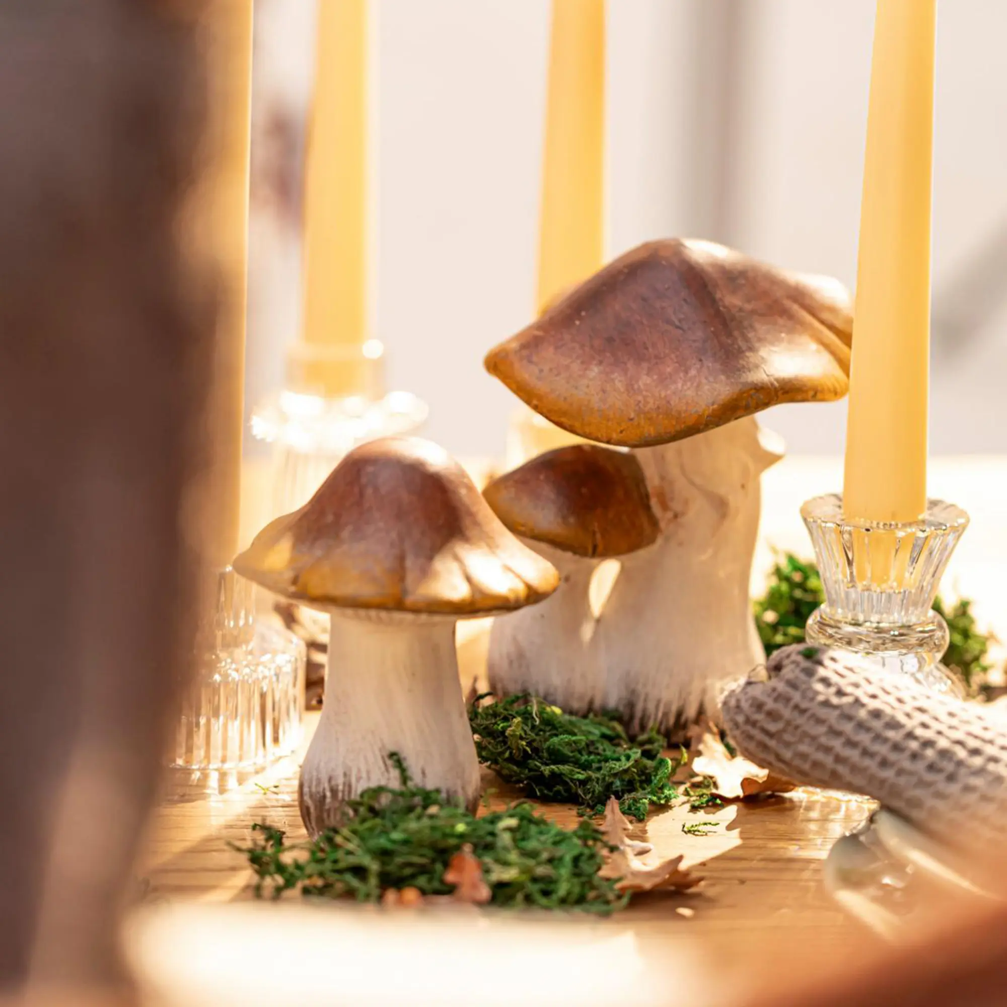Deko-Pilz "Brownie", 2er Set  im Frank Flechtwaren Online Shop für Dekopilze kaufen