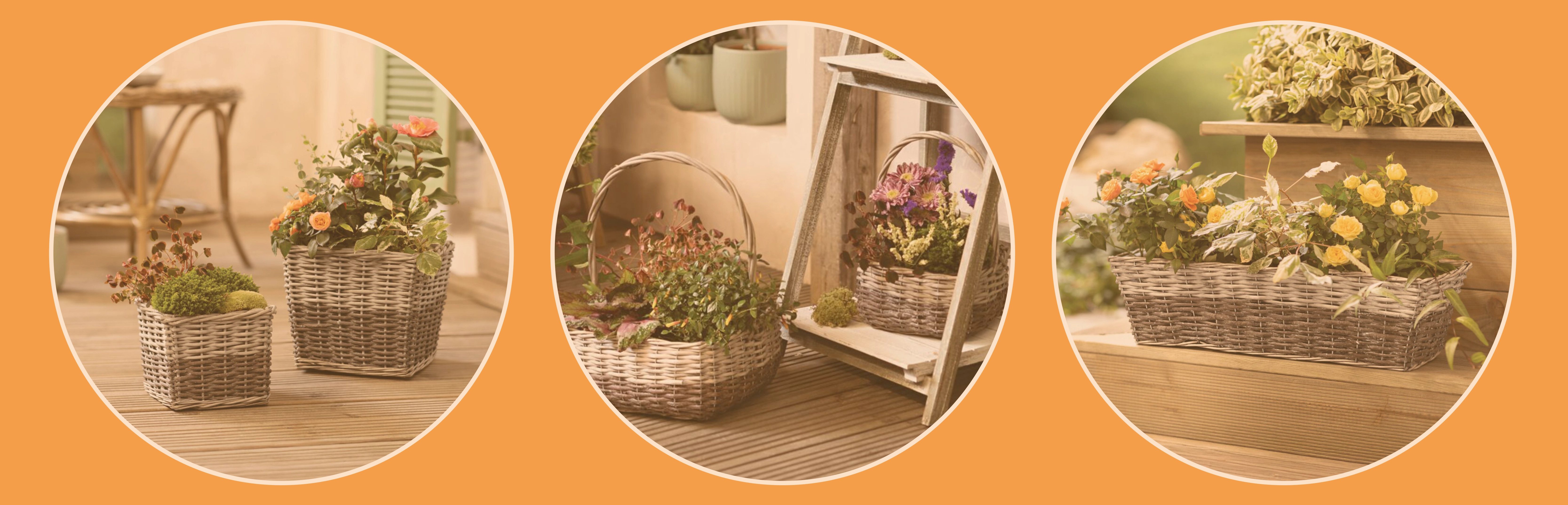Pflanzkörbe: verschiedene geflochtene Körbe mit Blumen und Pflanzen als sommerliche Gartendeko
