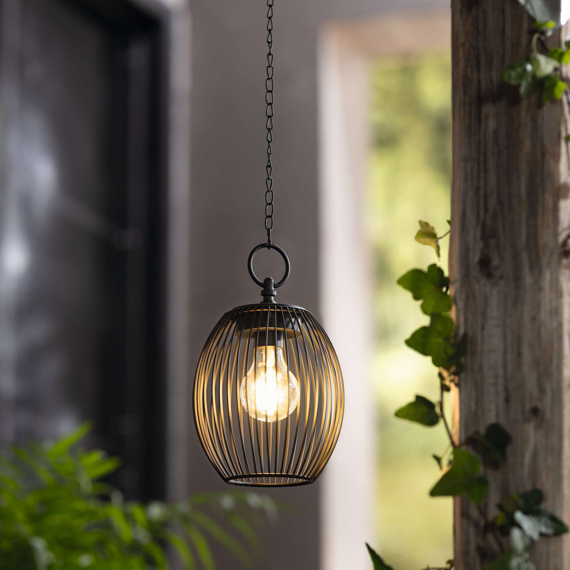 LED-Hänger "Solar"  im Frank Flechtwaren Online Shop kaufen