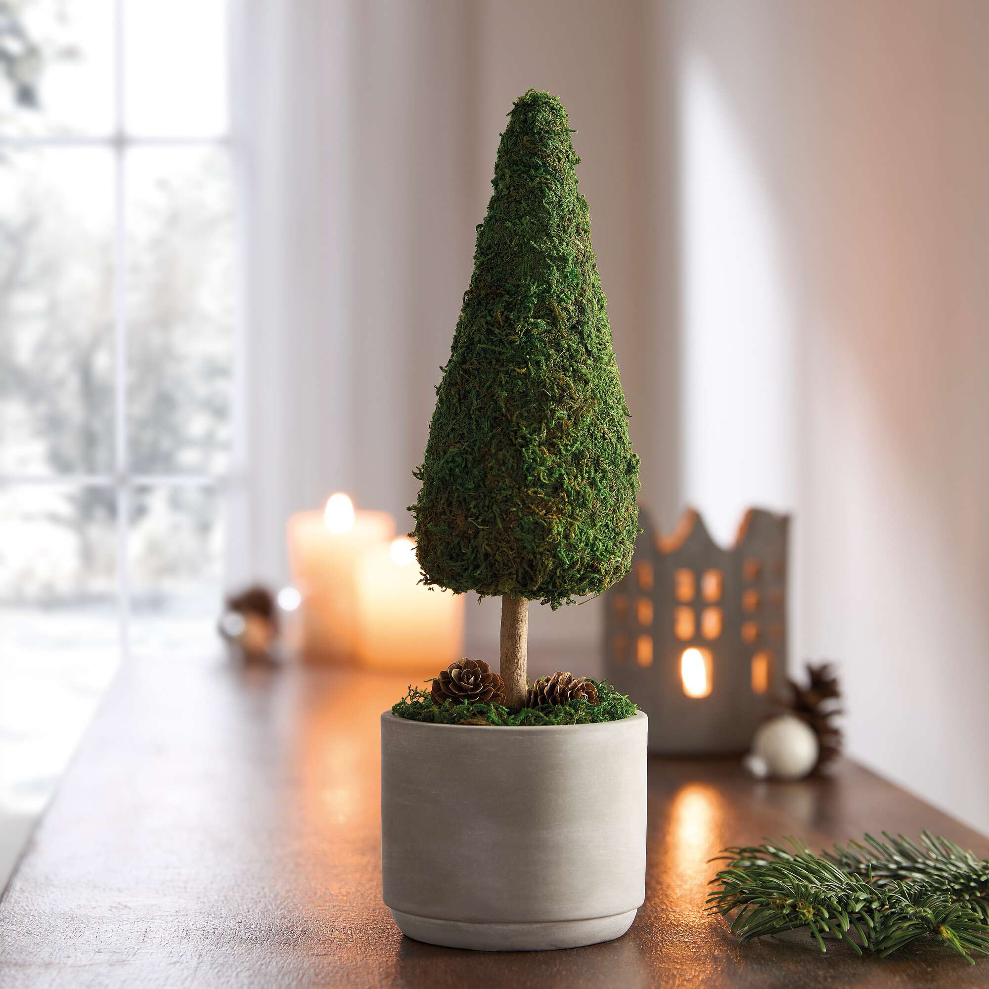 Tanne "Moos"  im Frank Flechtwaren Online Shop kaufen