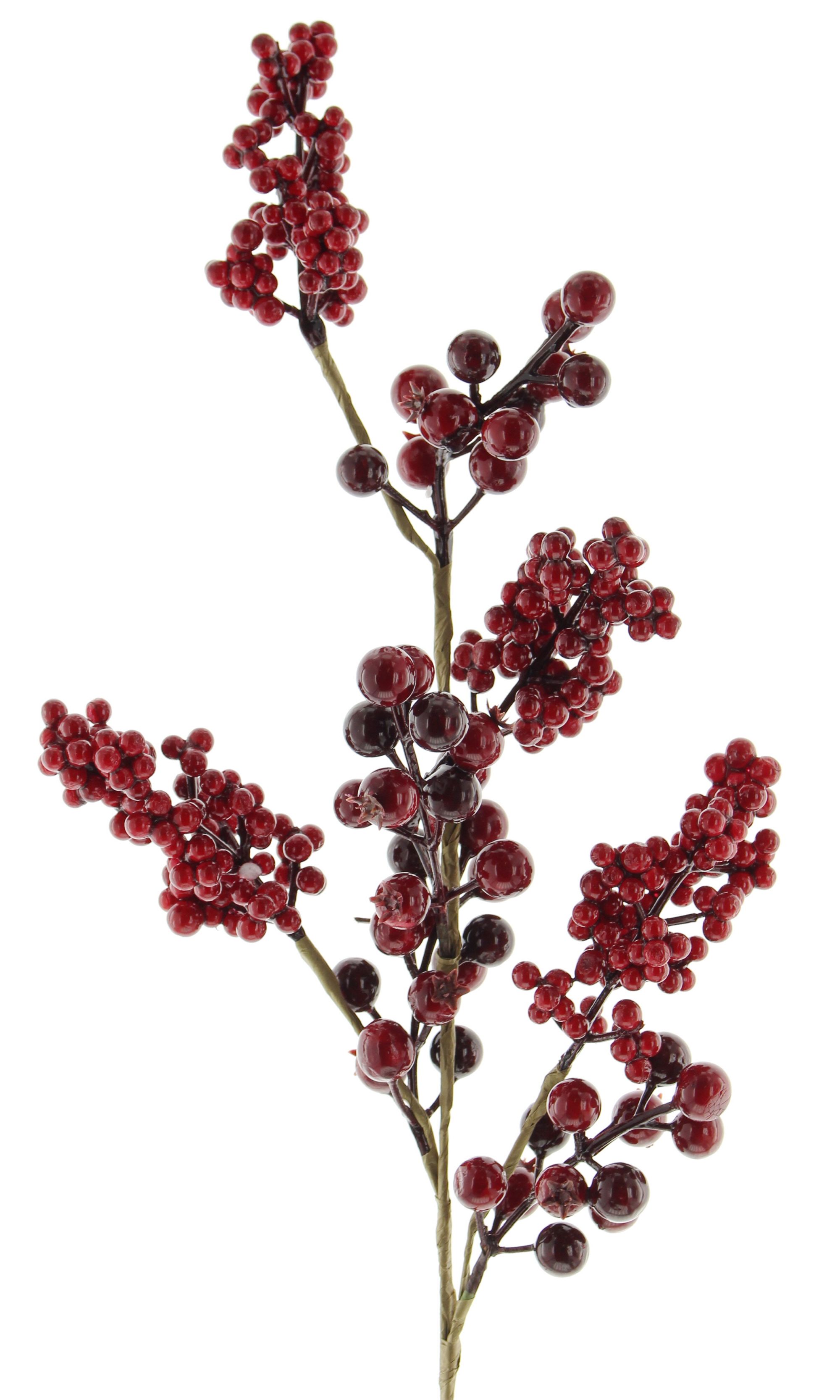Deko-Zweig "Rote Beeren" im Frank Flechtwaren Online Shop für Weihnachten kaufen Deko-Zweig "Rote Beeren" im Frank Flechtwaren Online Shop für Weihnachten kaufen