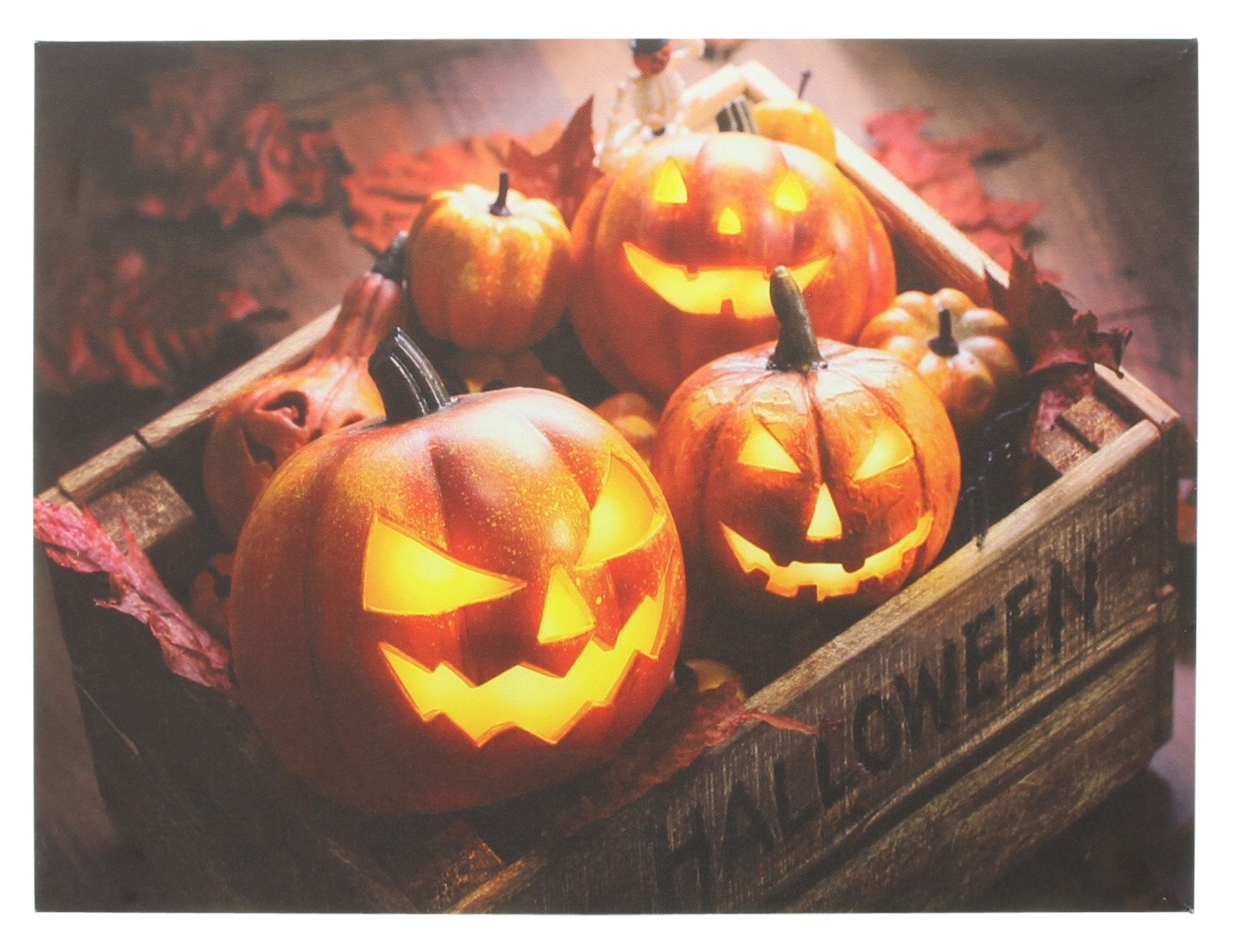 LED-Bild "Halloween"  im Frank Flechtwaren Online Shop für Herbst kaufen