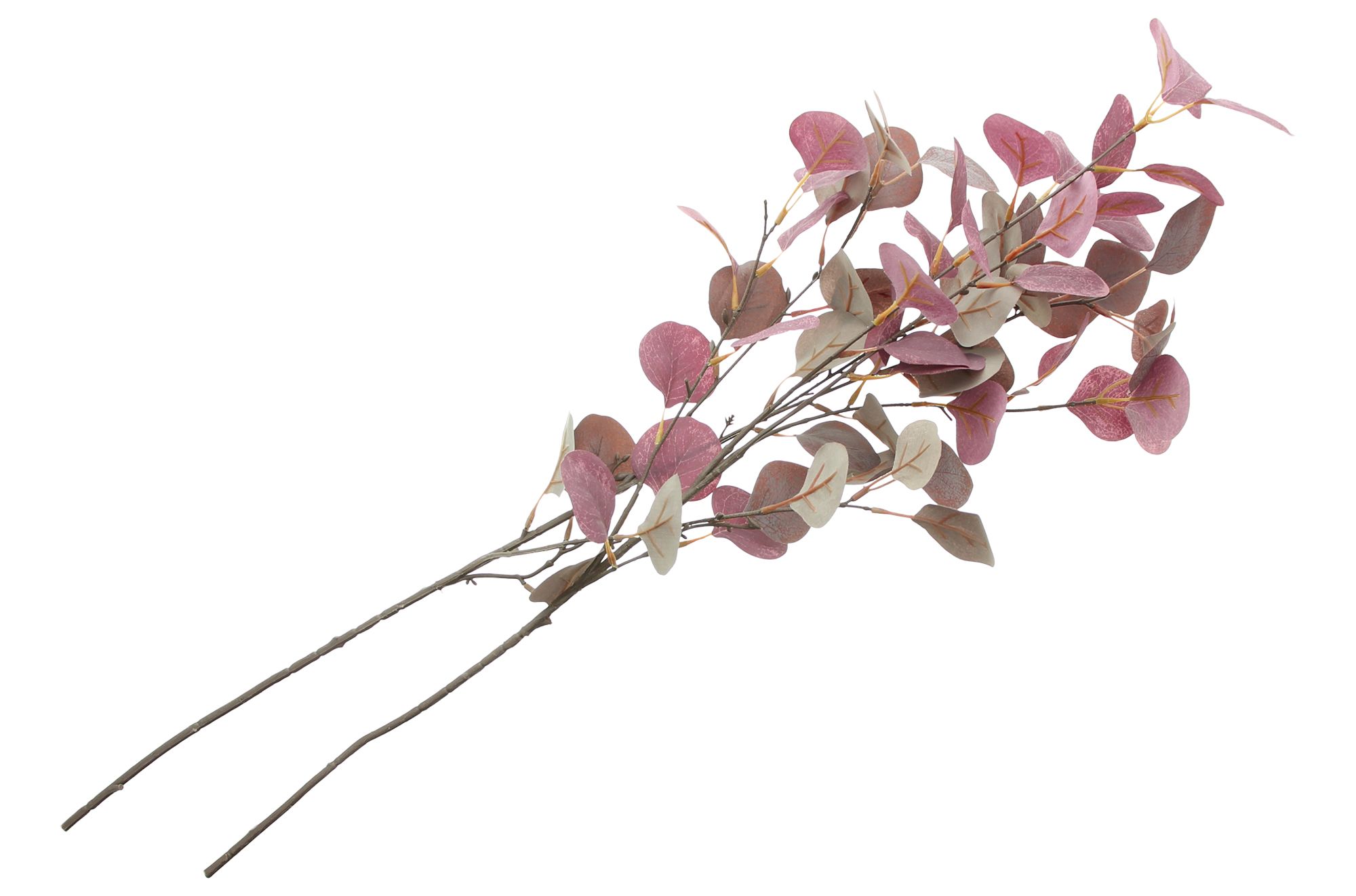 Eukalyptuszweig "Mauve", 2er Set im Frank Flechtwaren Online Shop für Herbst kaufen Eukalyptuszweig "Mauve", 2er Set im Frank Flechtwaren Online Shop für Herbst kaufen