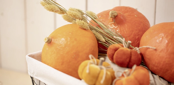 Herbstdeko: orange Kürbisse und Zierkürbisse mit Trockengräsern als herbstliche Dekoration