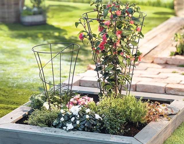 Gartendeko: rechteckiges Holzhochbeet mit Rankgittern, Blumen und Grünpflanzen