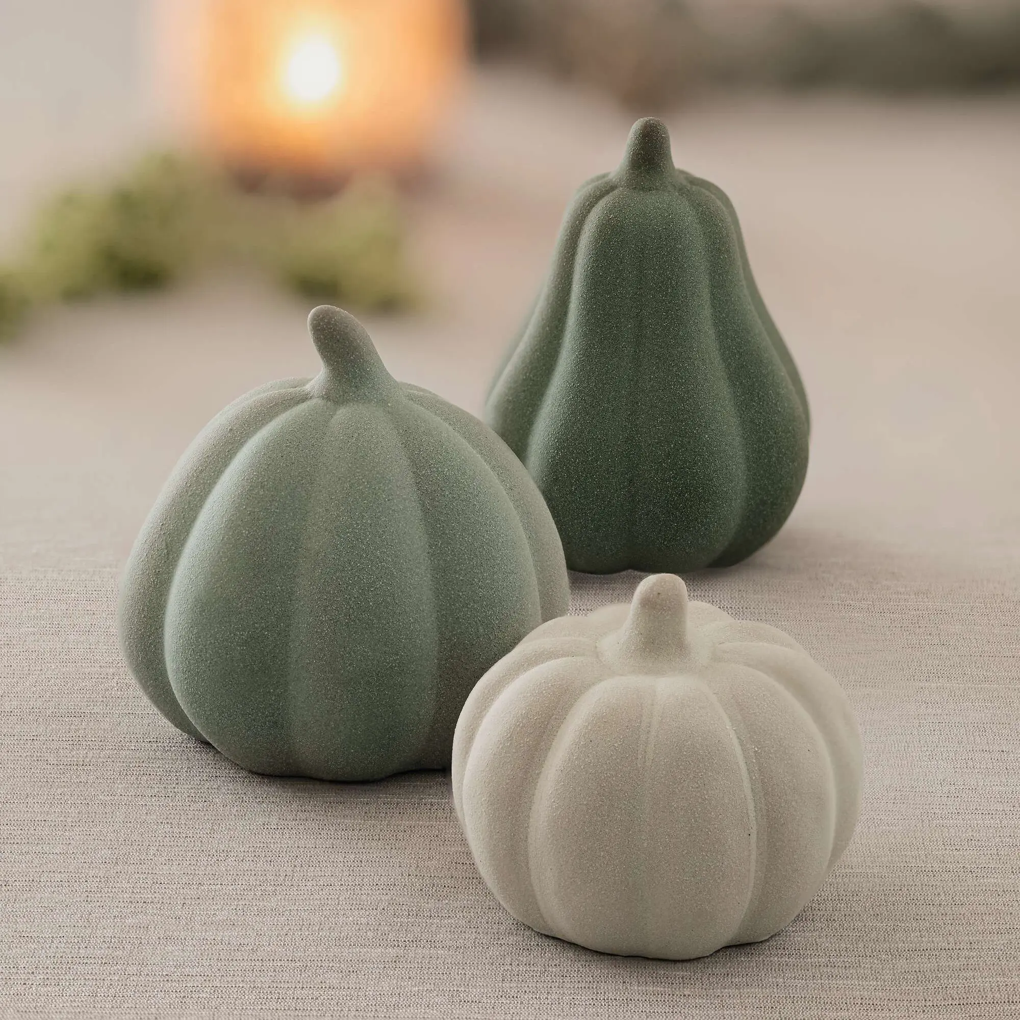 Kürbis "Green Shades", 3er Set  im Frank Flechtwaren Online Shop kaufen