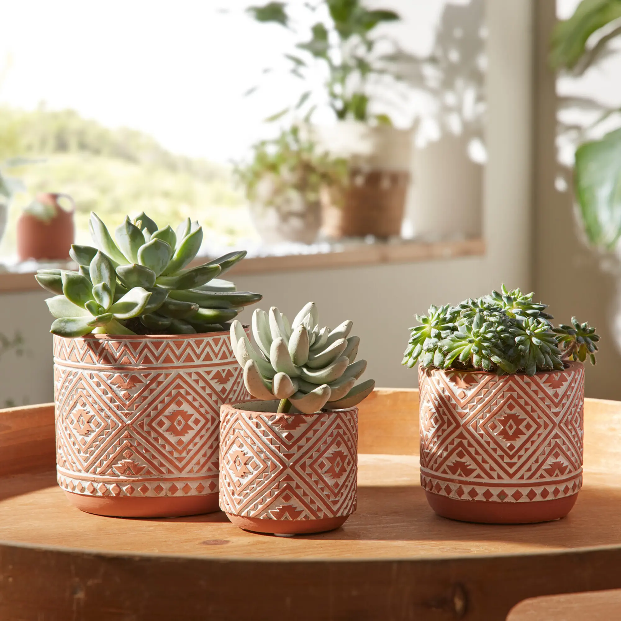 Blumentopf "Terracotta", 3er Set  im Frank Flechtwaren Online Shop für Pflanztöpfe kaufen