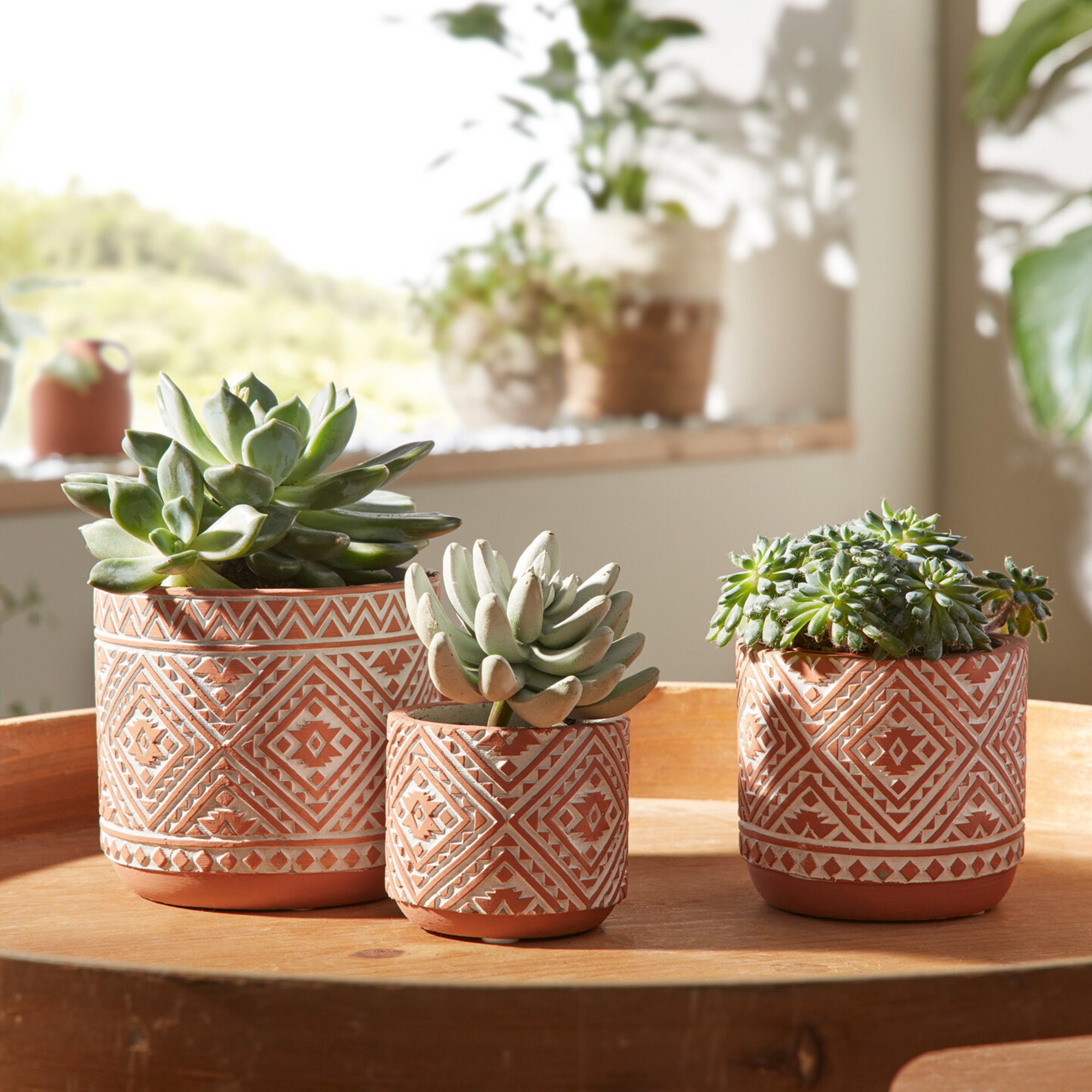 Blumentopf "Terracotta", 3er Set  im Frank Flechtwaren Online Shop kaufen
