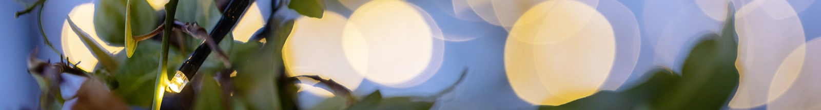 LED‑Leuchtdeko: warmweiße Lichterkette zwischen grünen Blättern als stimmungsvolle Gartendeko