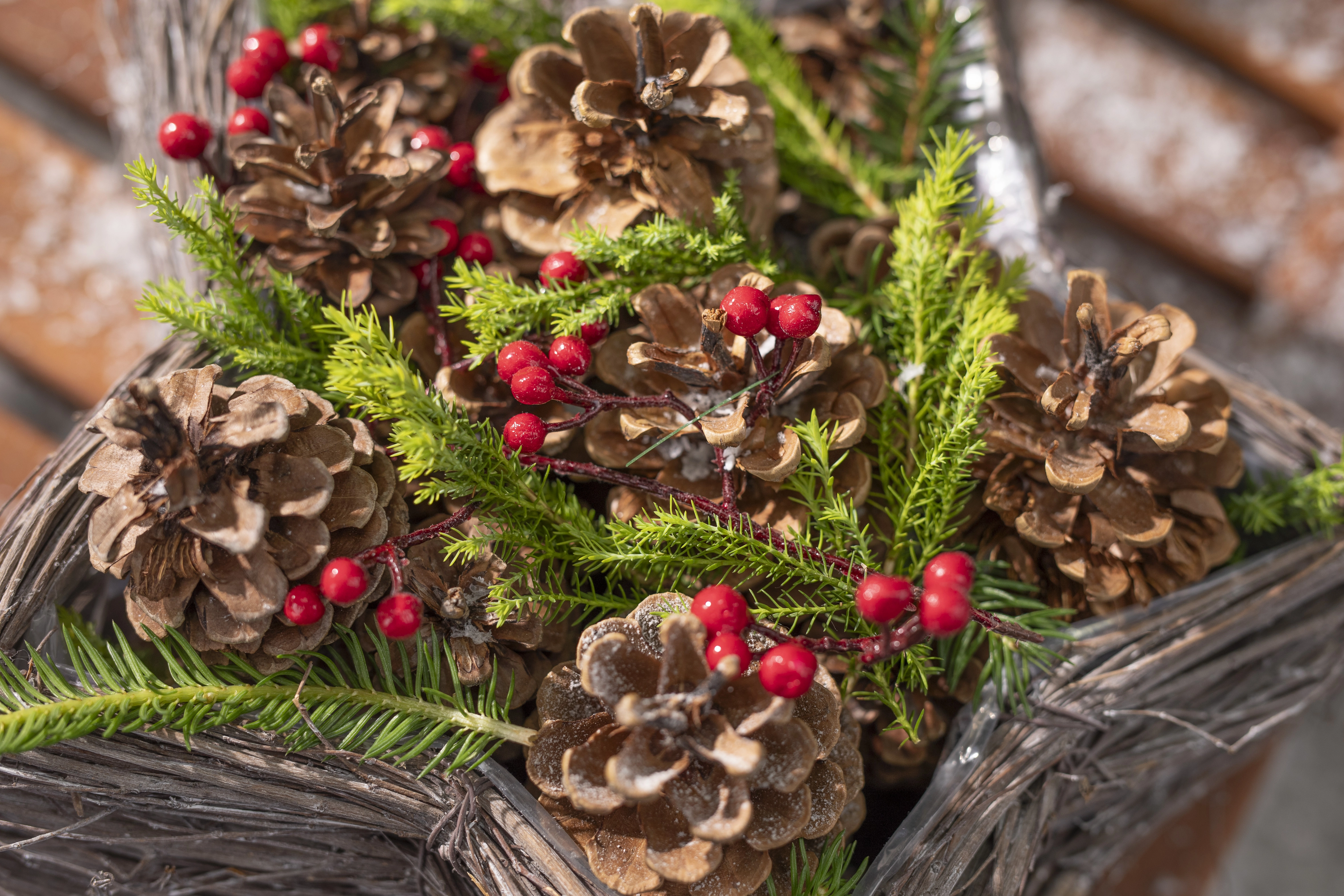 Weihnachtliches Arrangement aus Tannenzapfen, Tannenzweigen und roten Beeren in einem geflochtenen Korb aus Naturmaterial