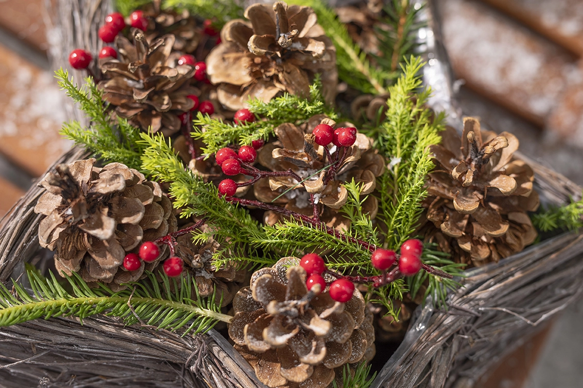 Weihnachtliches Arrangement aus Tannenzapfen, Tannenzweigen und roten Beeren in einem geflochtenen Korb aus Naturmaterial