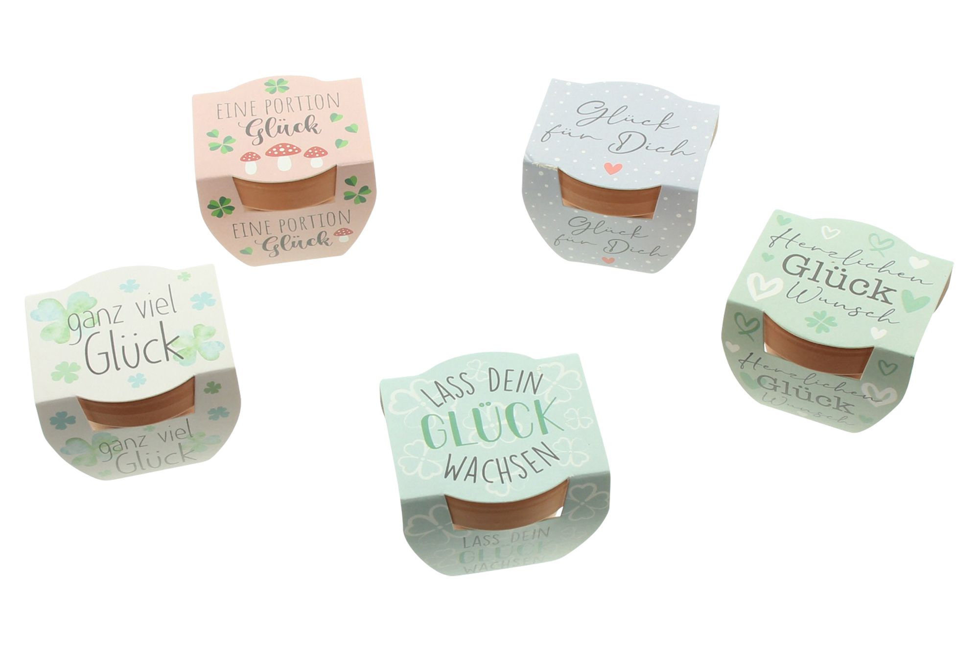 Minitopf "Glücksklee", 2er Set  im Frank Flechtwaren Online Shop für Deko kaufen