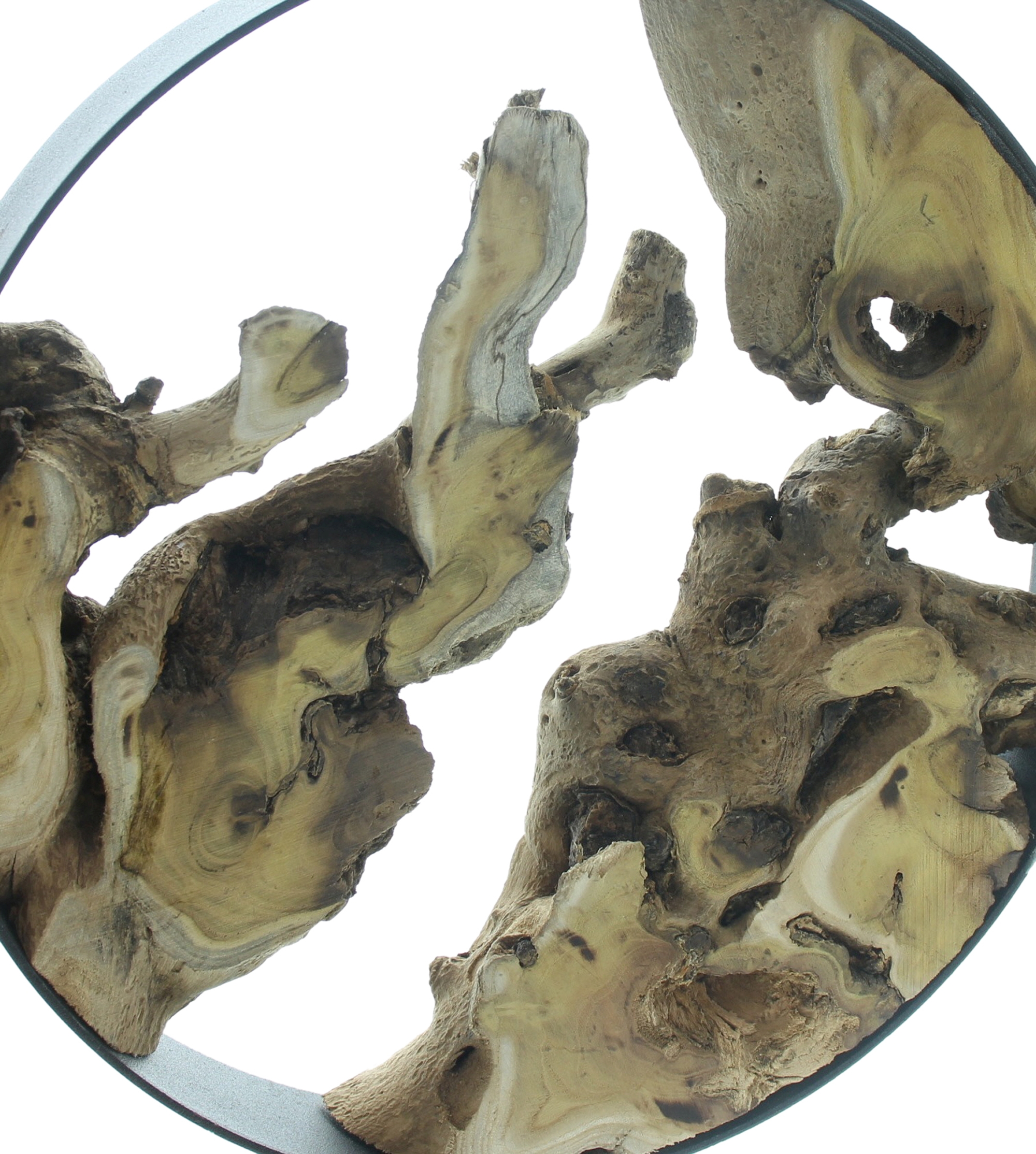 Holzdeko "Metallring"  im Frank Flechtwaren Online Shop für Dekoringe kaufen